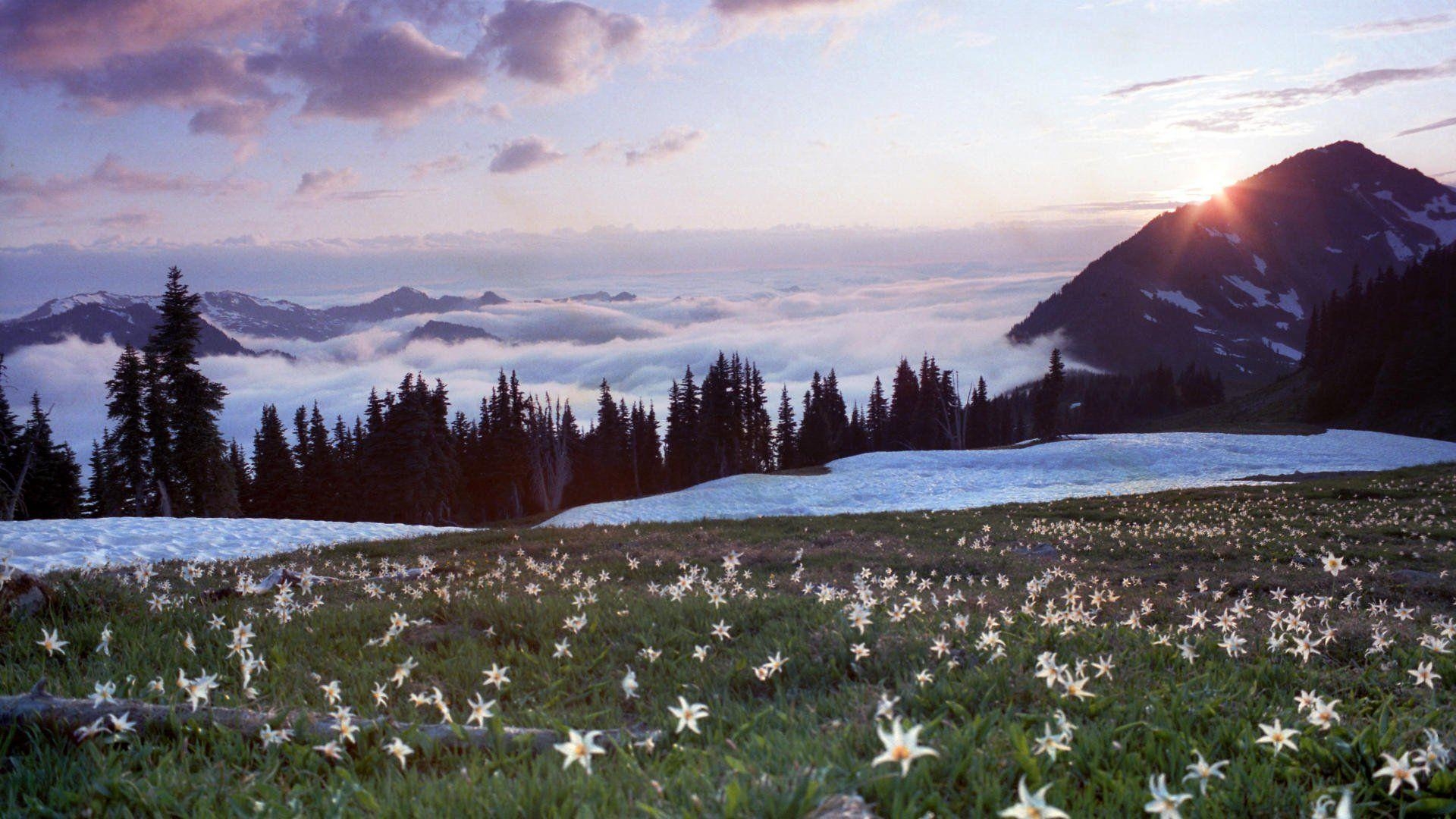 1920x1080 Olympic National Park Wallpaper, Desktop