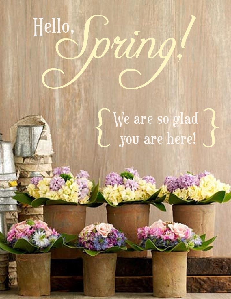 800x1040 Hello, Spring! (large). Hello spring quotes, Hello march, Hello spring, Phone