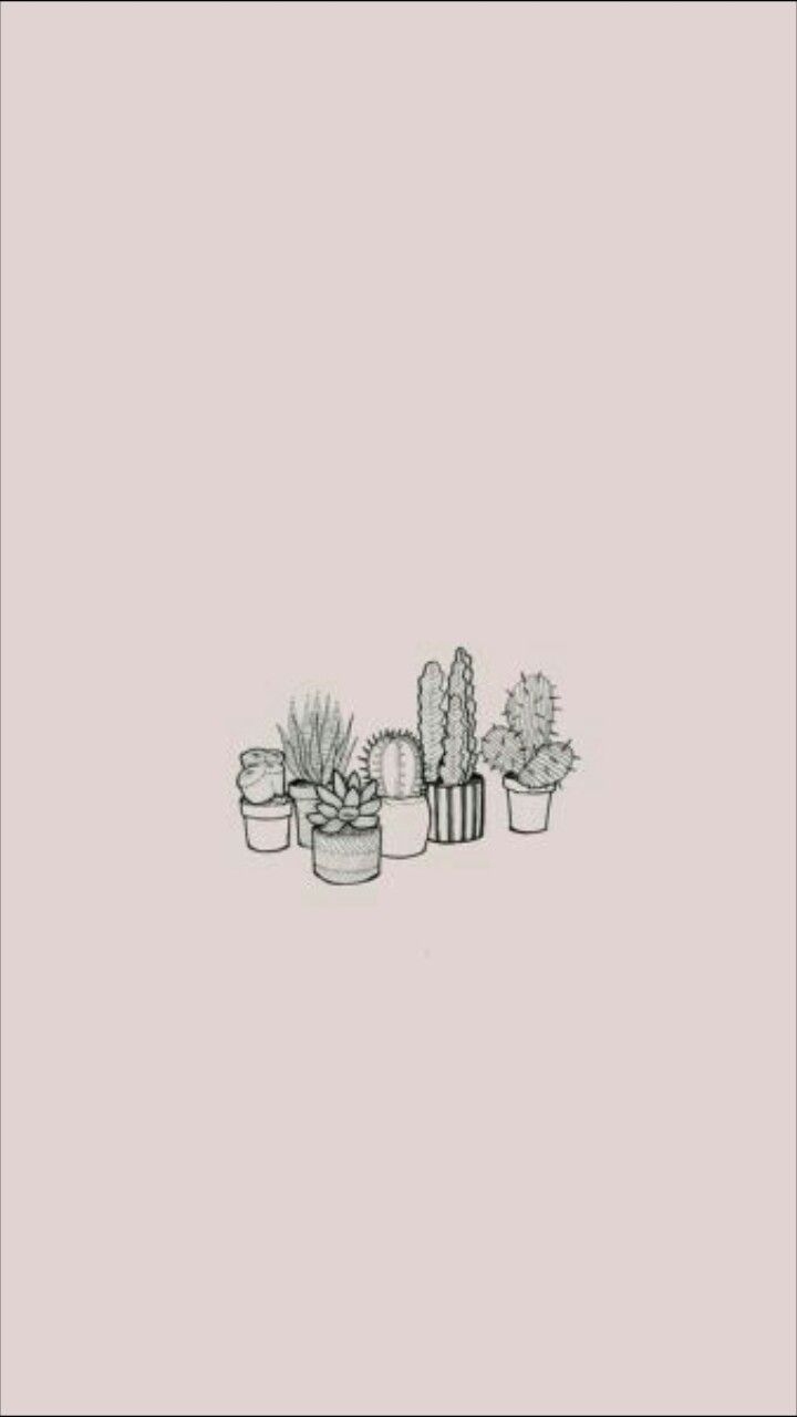 720x1280 Aesthetic Cactus Wallpaper, Phone