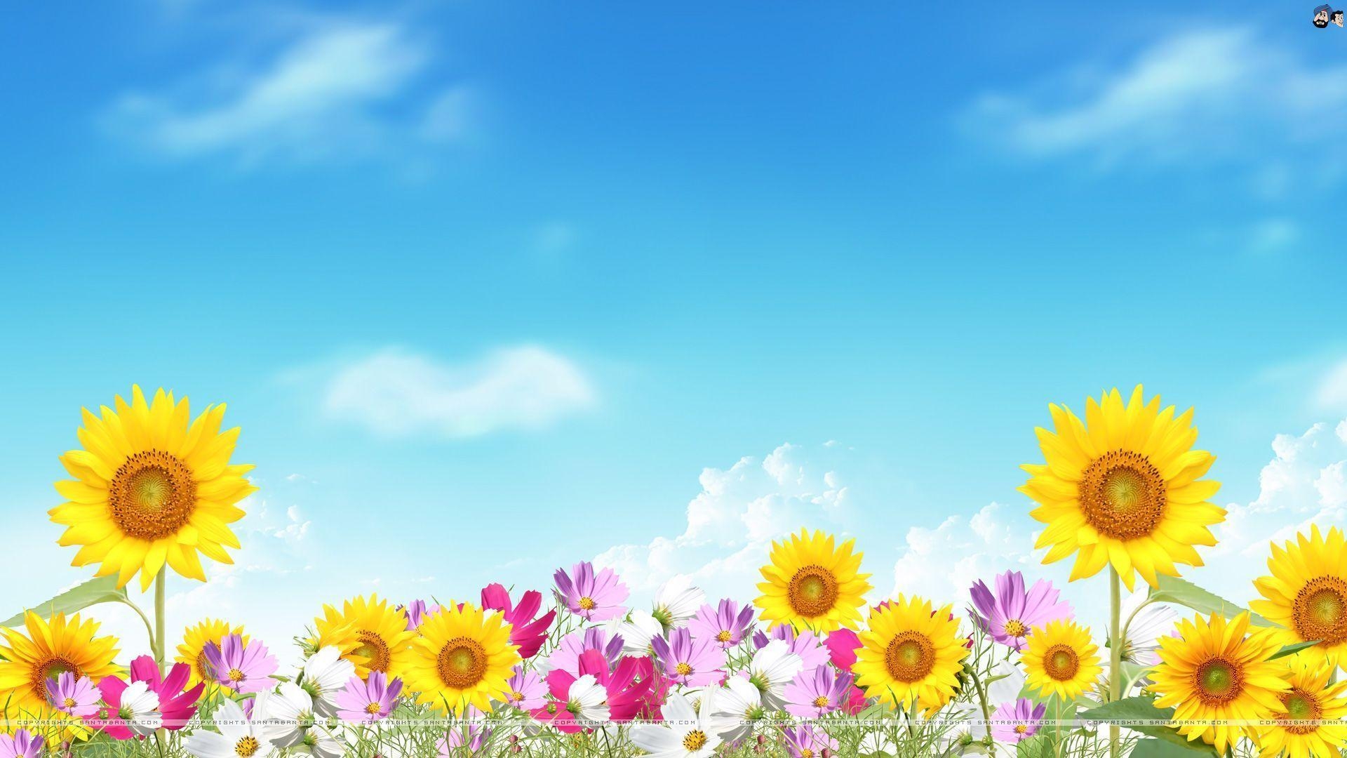 1920x1080 Summer Flowers Wallpaper 103 170283 Image HD Wallpaper. Wallfoy.com, Desktop