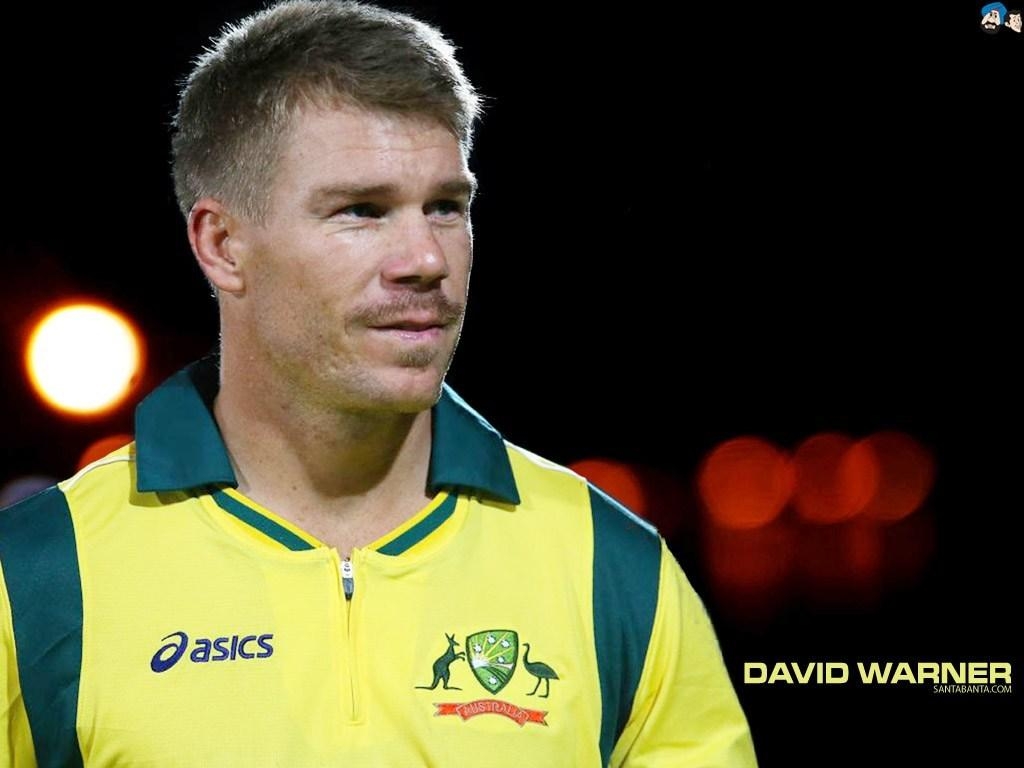 1030x770 David Warner Cricket Player, Desktop