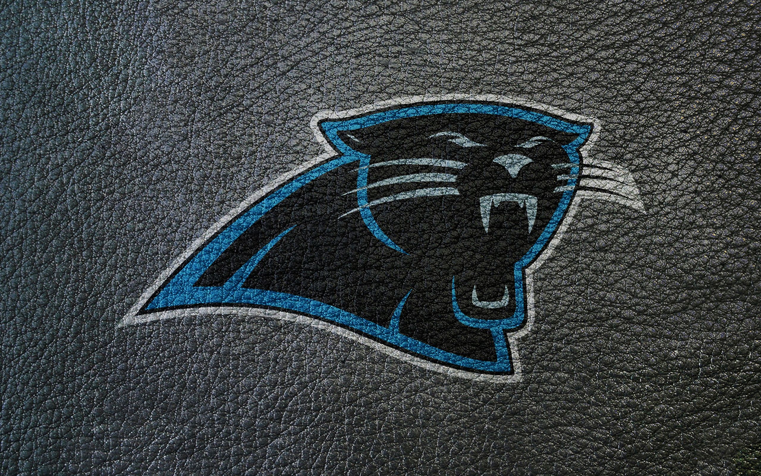 2560x1600 carolina panthers leather  photo, Desktop