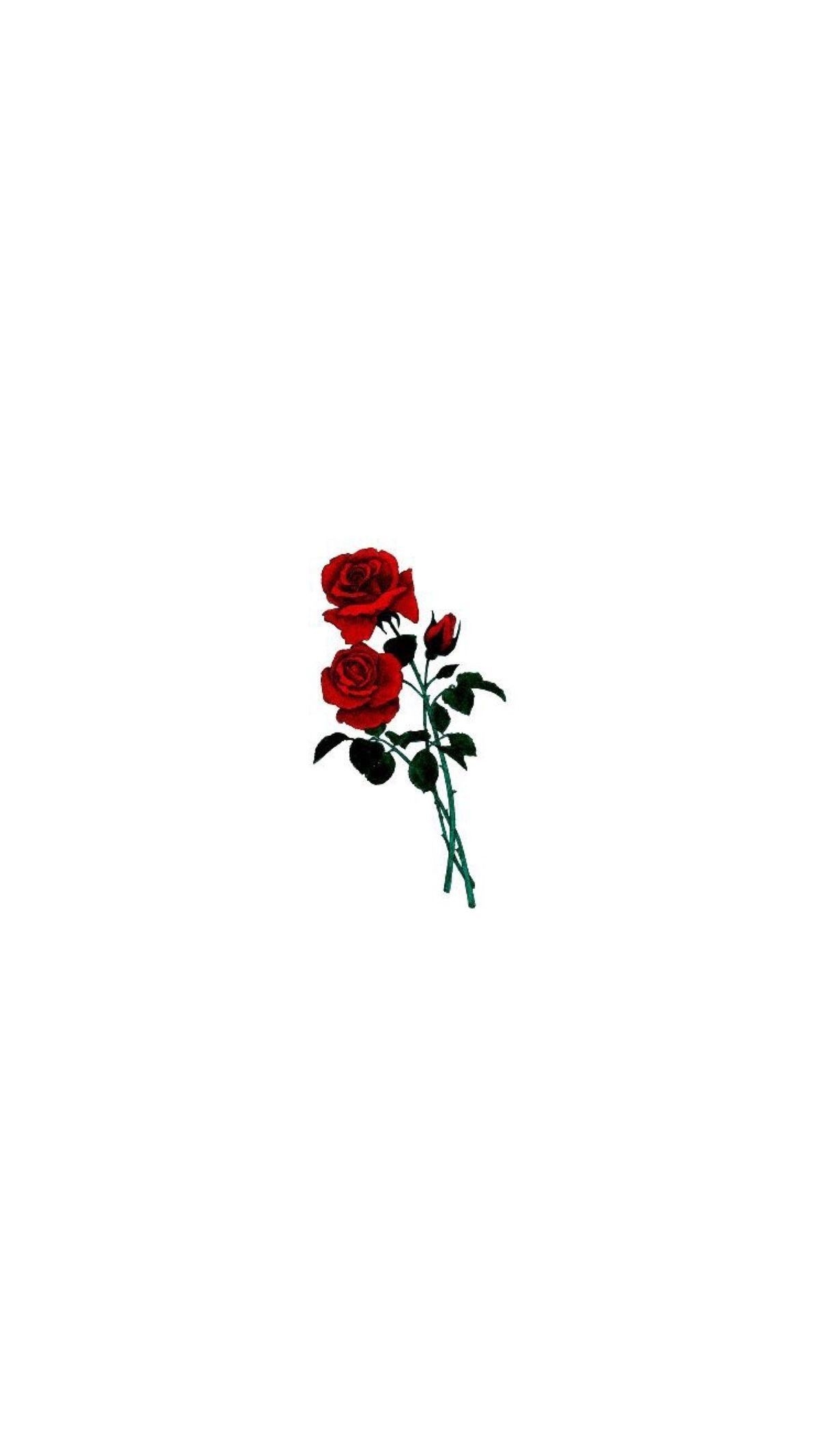 1200x2140 Rose wallpaper, Phone