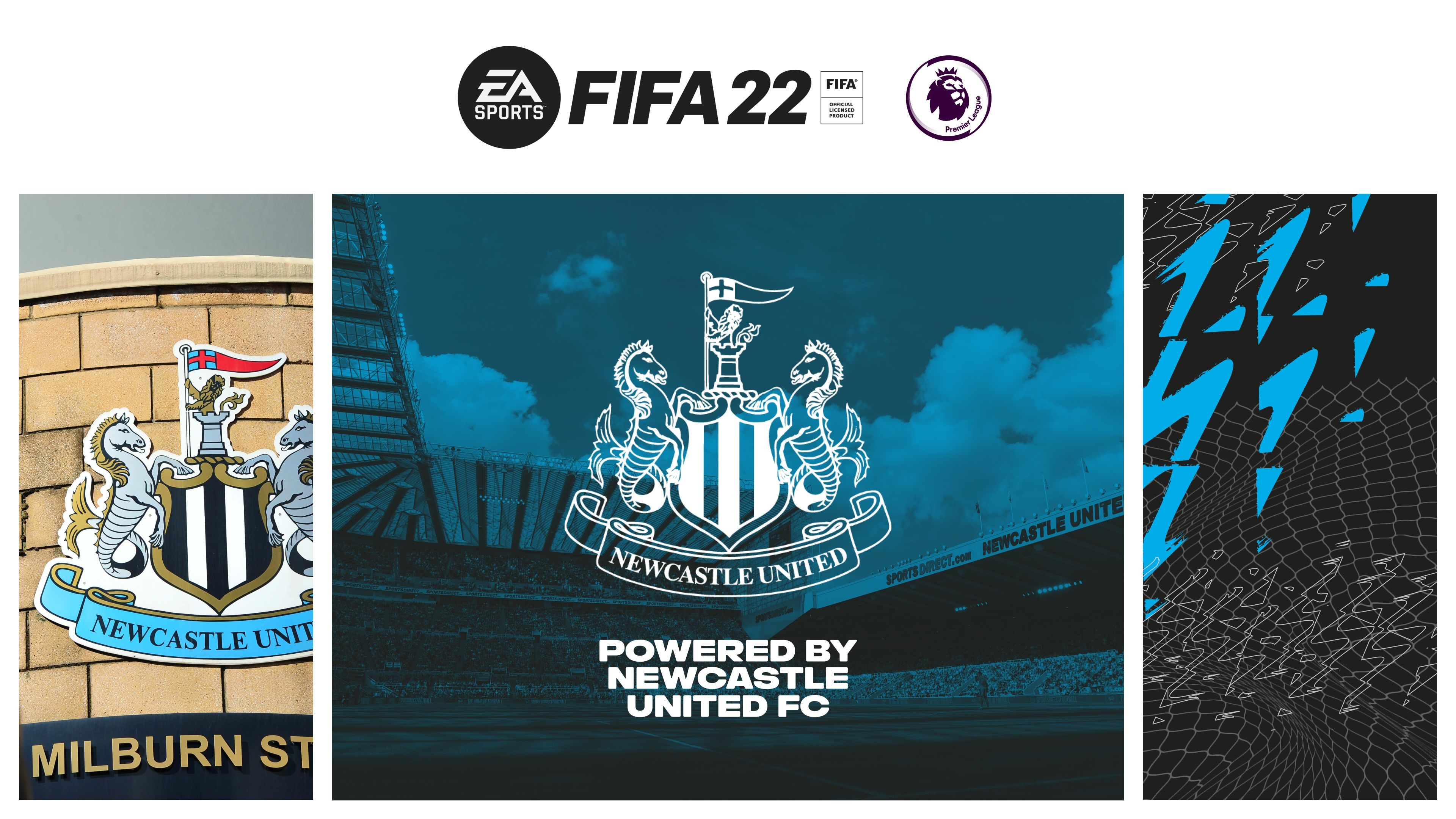 3840x2160 Newcastle United F.C. HD Wallpaper and Background, Desktop