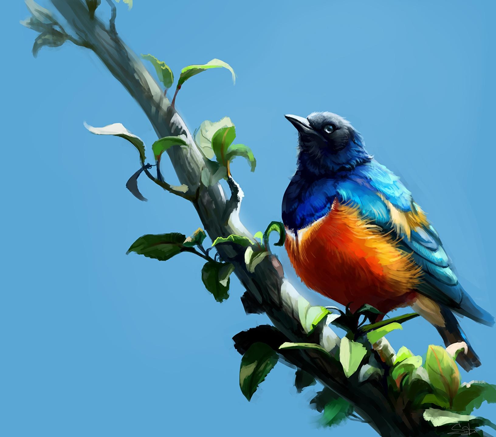 1640x1440 Wallpaper Birds Superb Starling Branches Animals Painting Art, Desktop