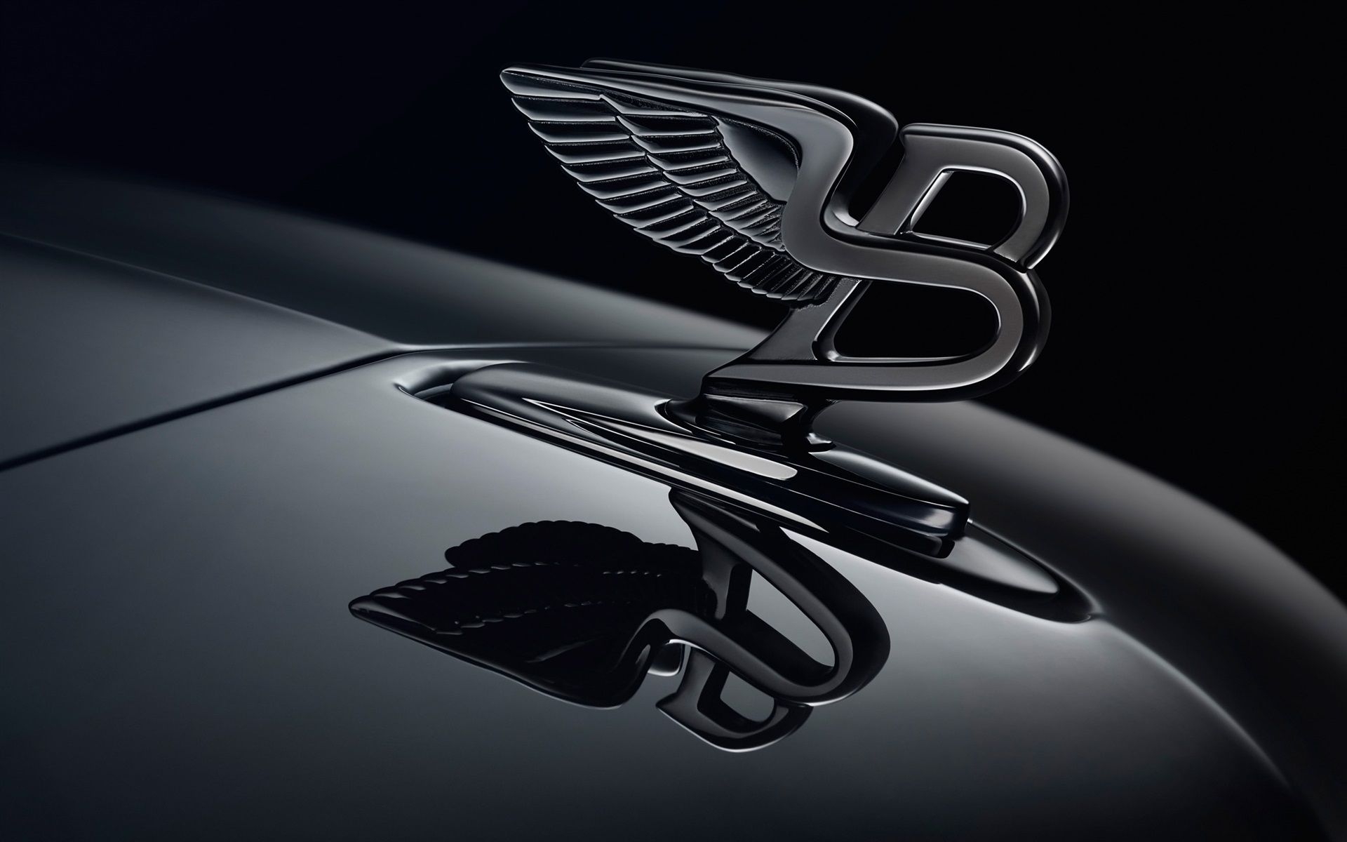 1920x1200 Wallpaper Bentley logo, black background 2560x1600 HD Picture, Image, Desktop