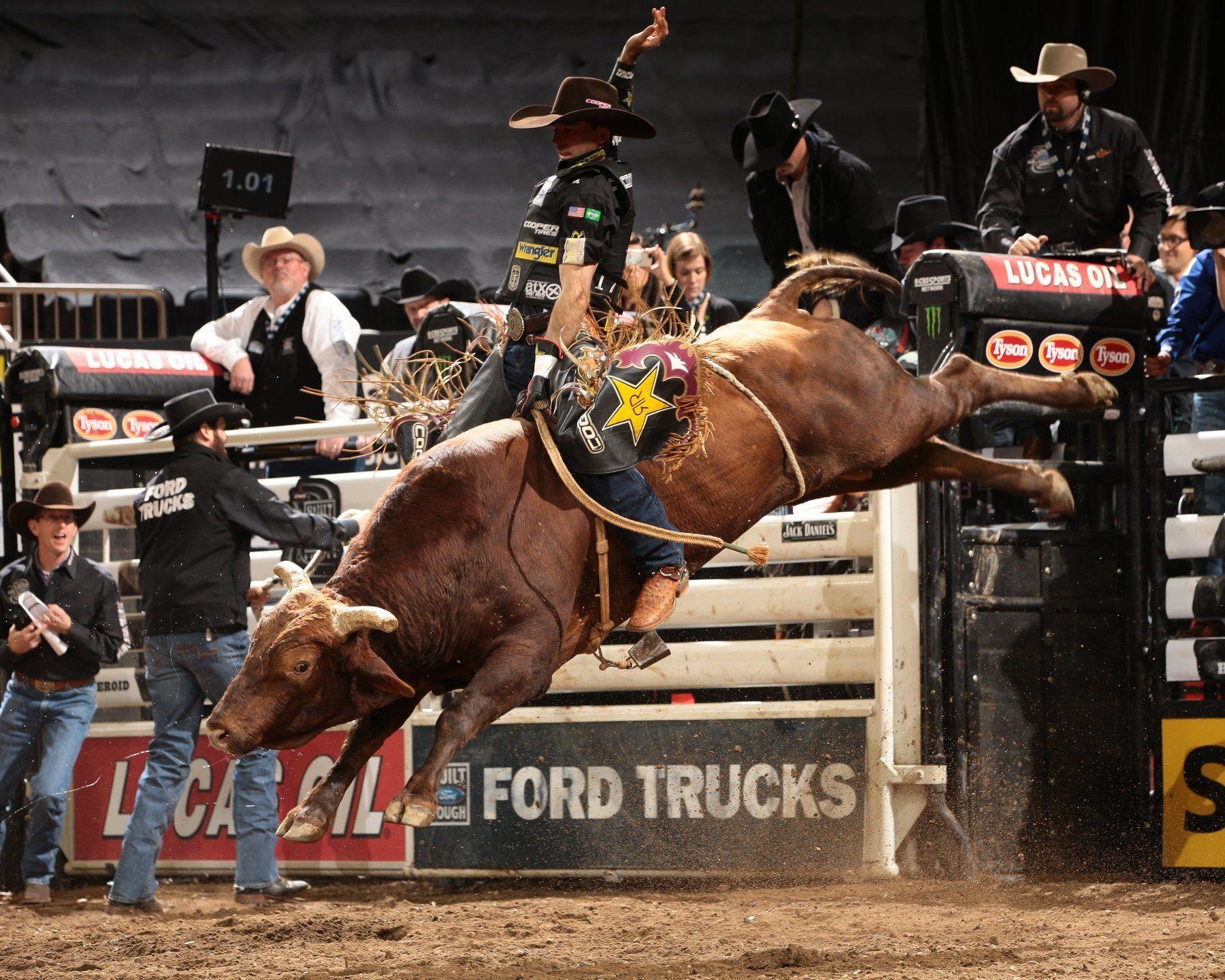 1800x1440 Wallpaper.wiki Wallpaper HD Bull Riding PIC WPC008235, Desktop