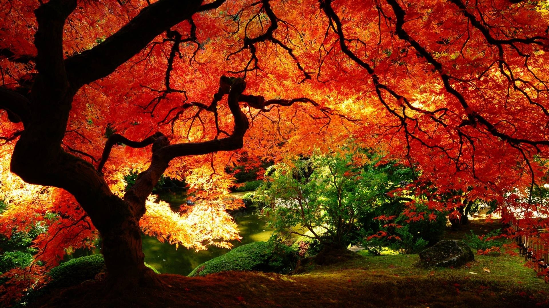 1920x1080 Autumn Wallpaper, Desktop