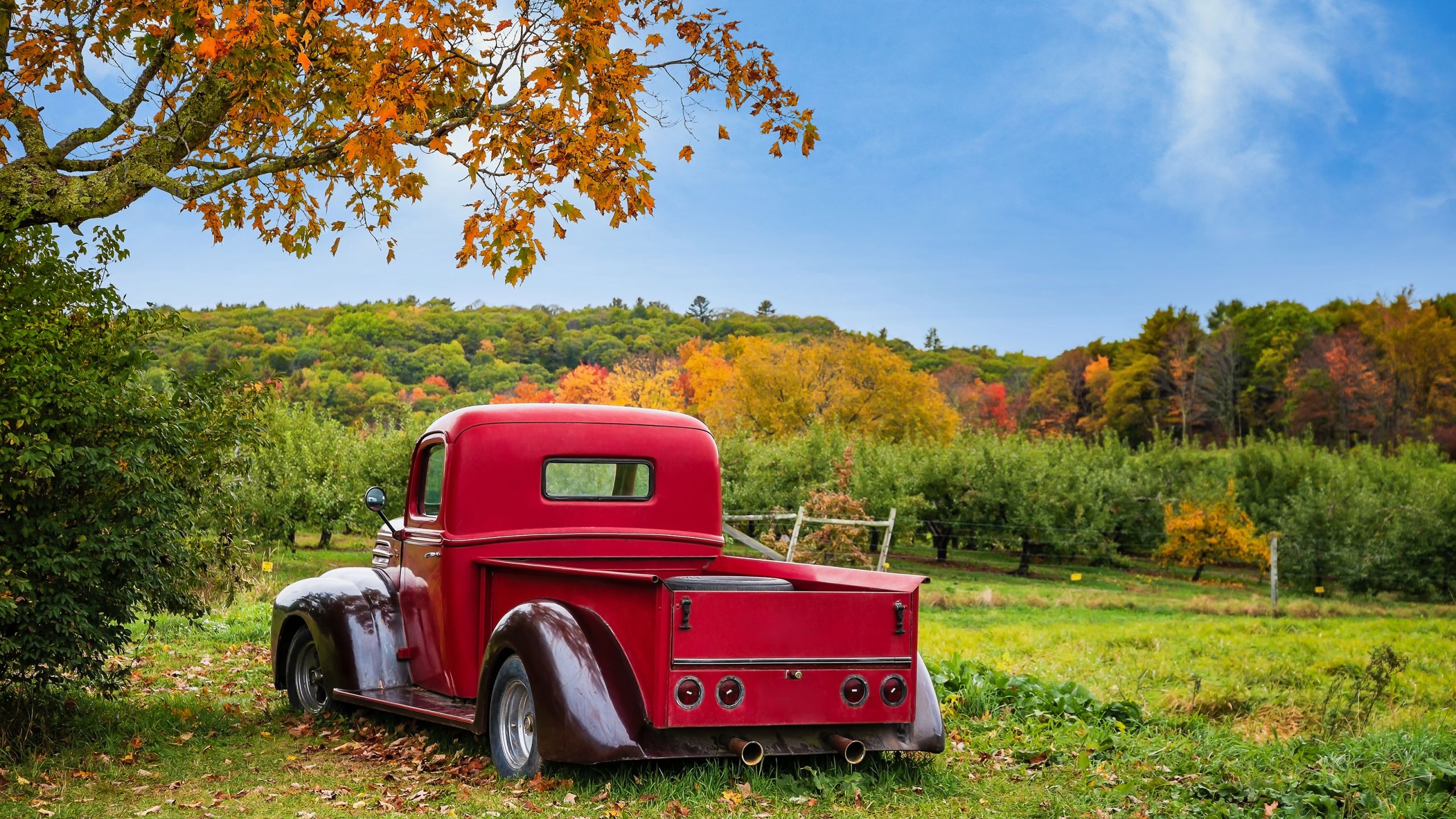 2560x1440 West Michigan pumpkin patches and cider mills to visit this fall, Desktop