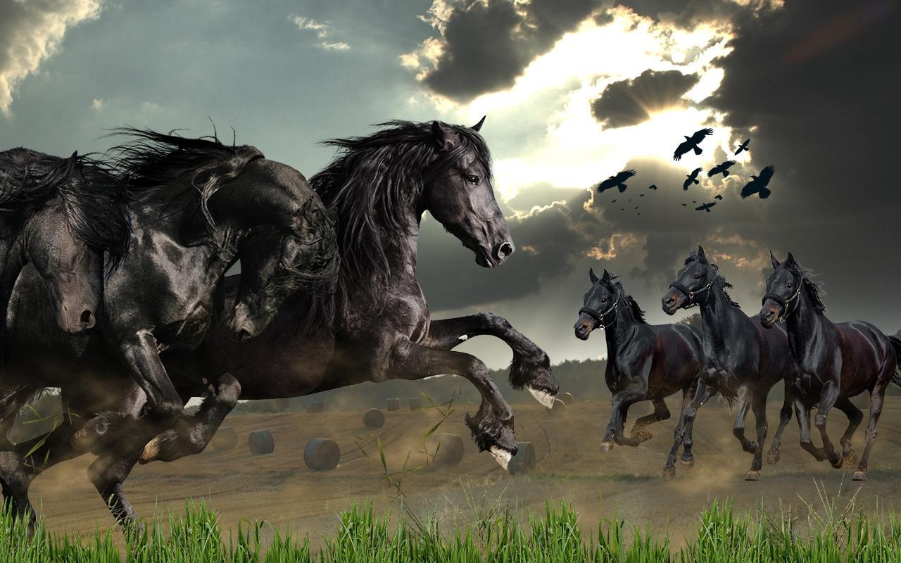 1280x800 Wild Horses Live Wallpaper Apps on Google Play, Desktop