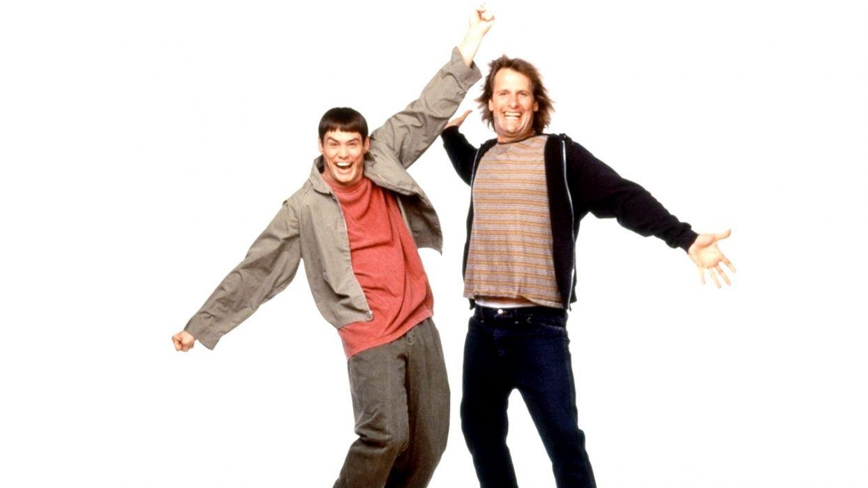 1250x700 DUMB AND DUMBER comedy family humor funny (71) wallpaper, Desktop