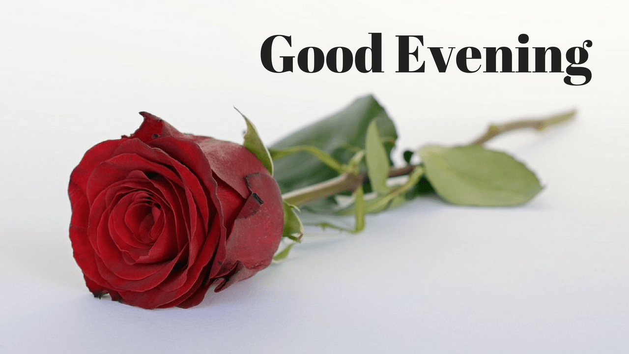 1280x720 good evening image with red rose. Mobile wallpaper, Desktop