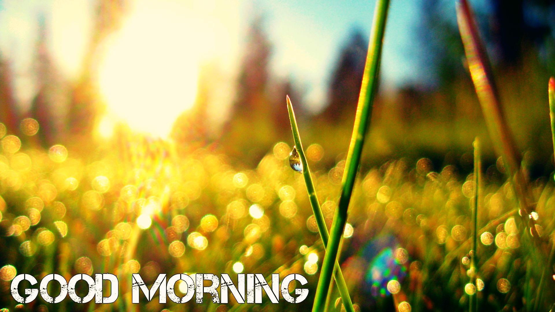 1920x1080 Good Morning Wallpaper Free Download, Desktop