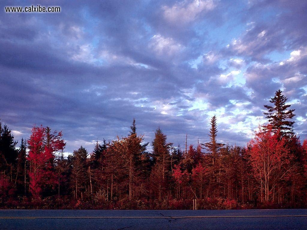 1030x770 New England Autumn Wallpaper, Desktop