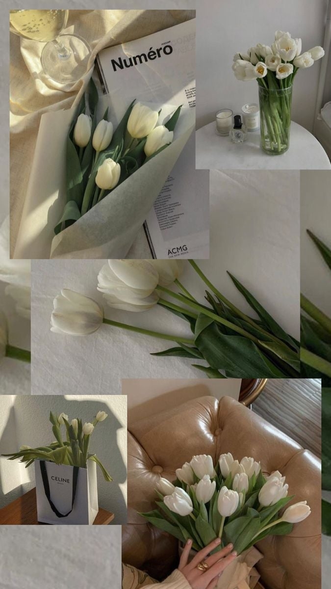 680x1200 White tulips wallpaper aesthetic, Phone