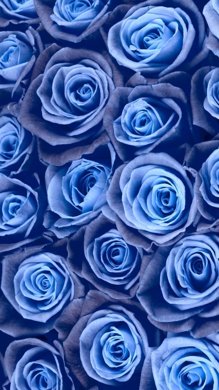 740x1310 Gorgeous Floral iPhone Xs Wallpaper. Preppy Wallpaper. Floral wallpaper iphone, Blue roses wallpaper, Blue wallpaper iphone, Phone