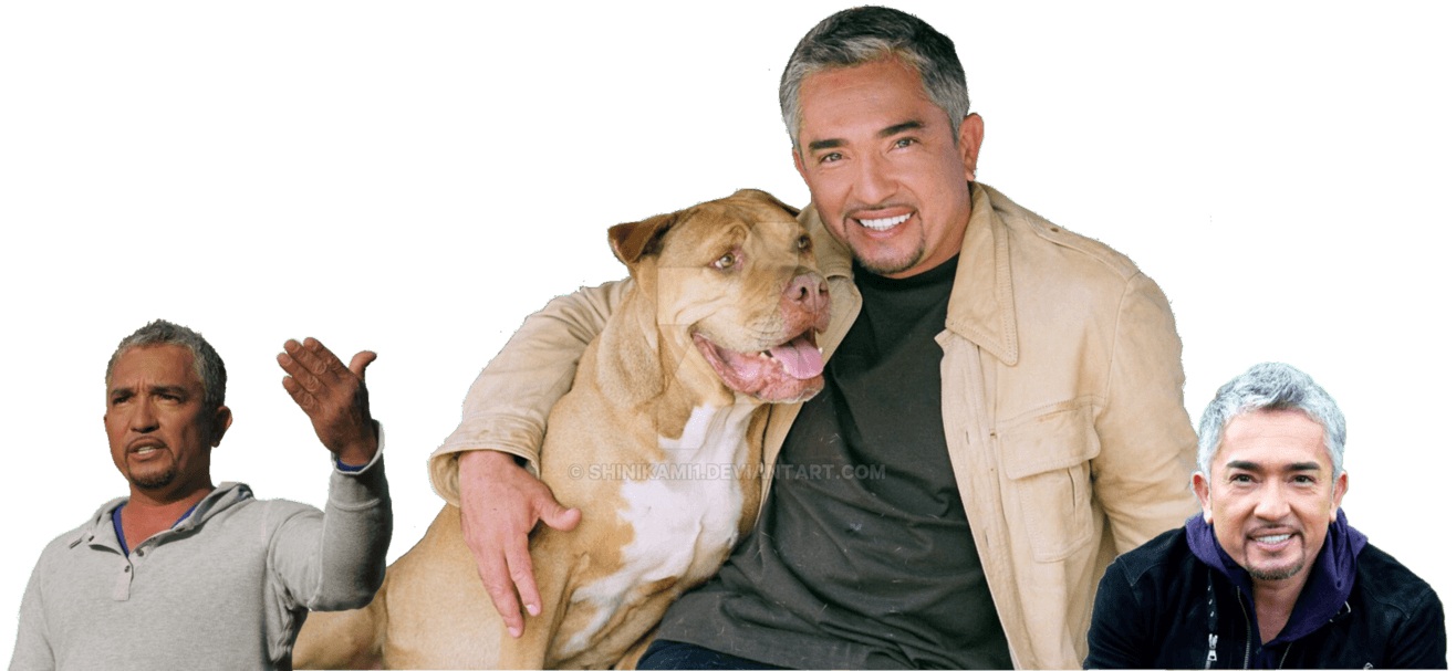 1320x610 Cesar Millan Png, Dual Screen