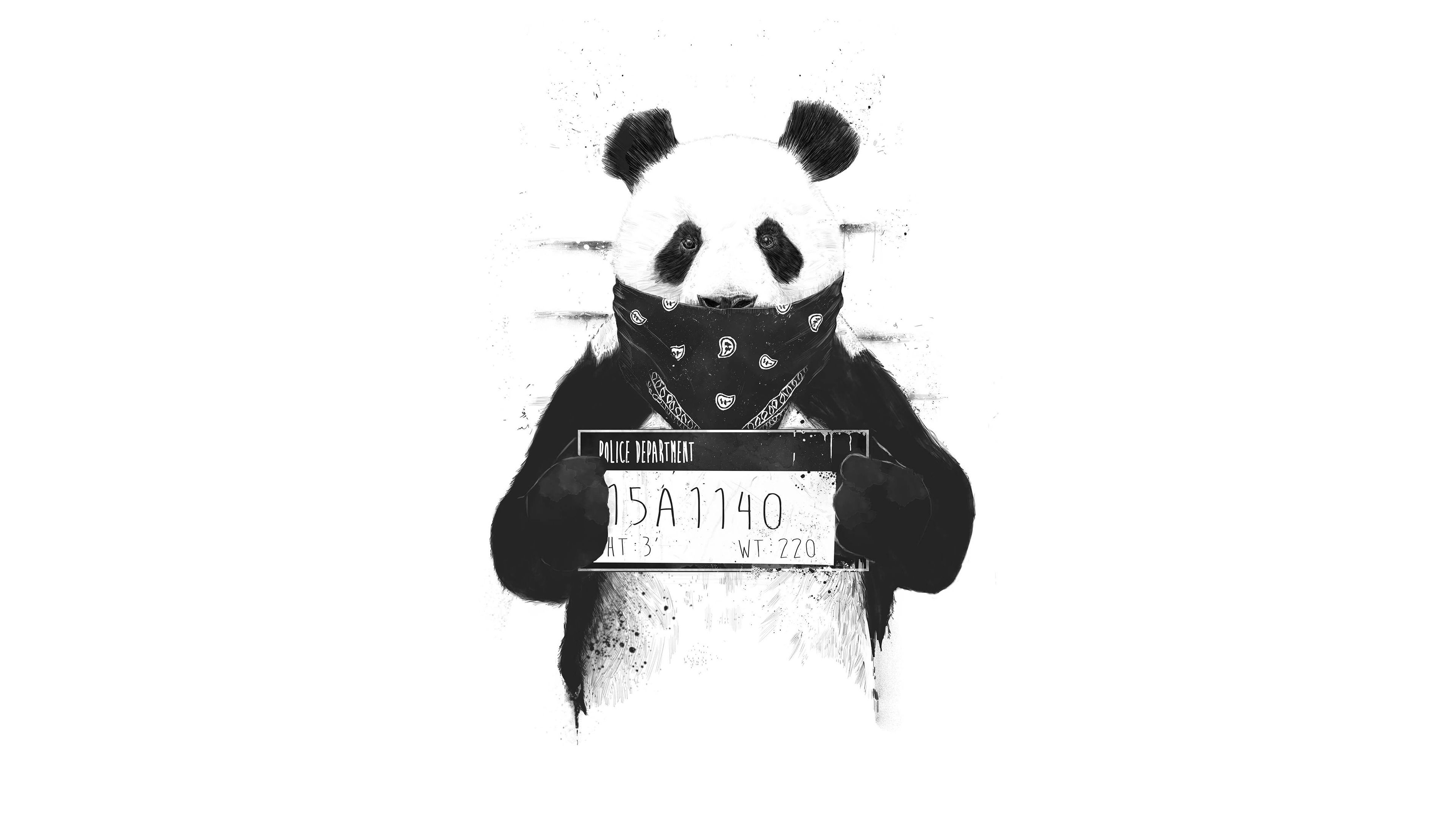 3840x2160 Bad Panda, HD Artist, 4k Wallpaper, Image, Background, Photo and Picture, Desktop