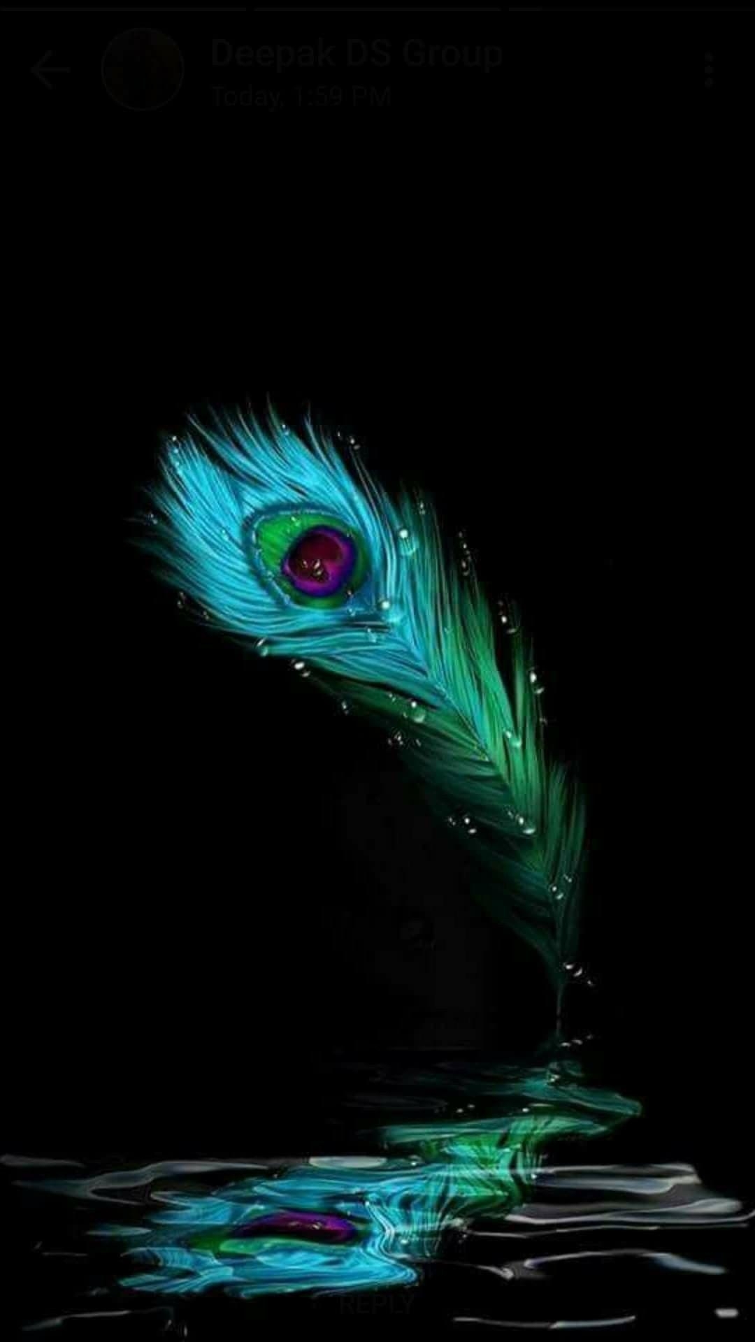 1080x1920 Peacock Feather ! #beauty #peacock #feather #divine. Krishna, Phone