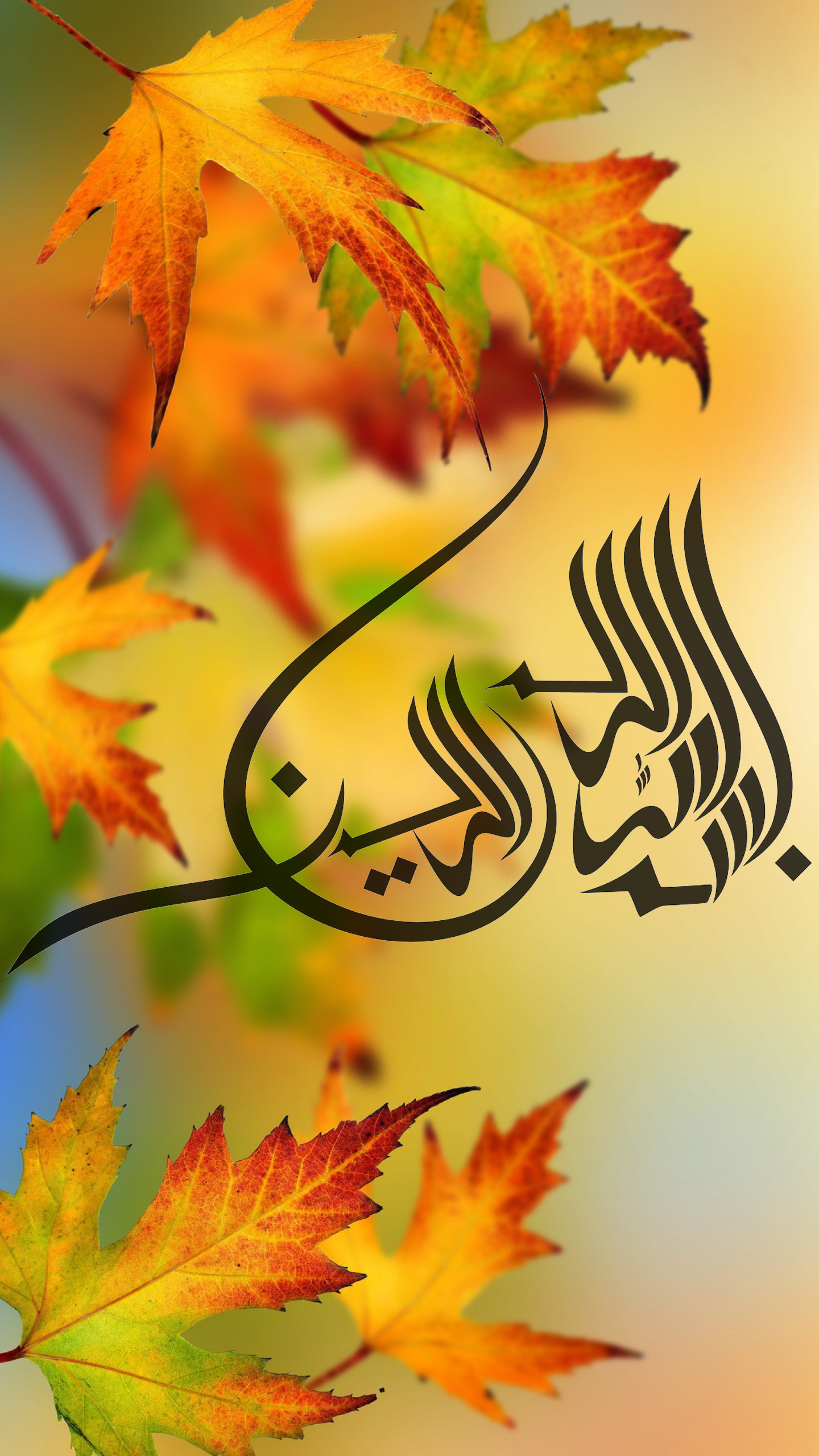 1440x2560 Best Islamic Wallpaper for 5 inch Mobile Phone 2 of 7 in Autumn Background Wallpaper. Wallpaper Download. High Resolution Wallpaper, Phone