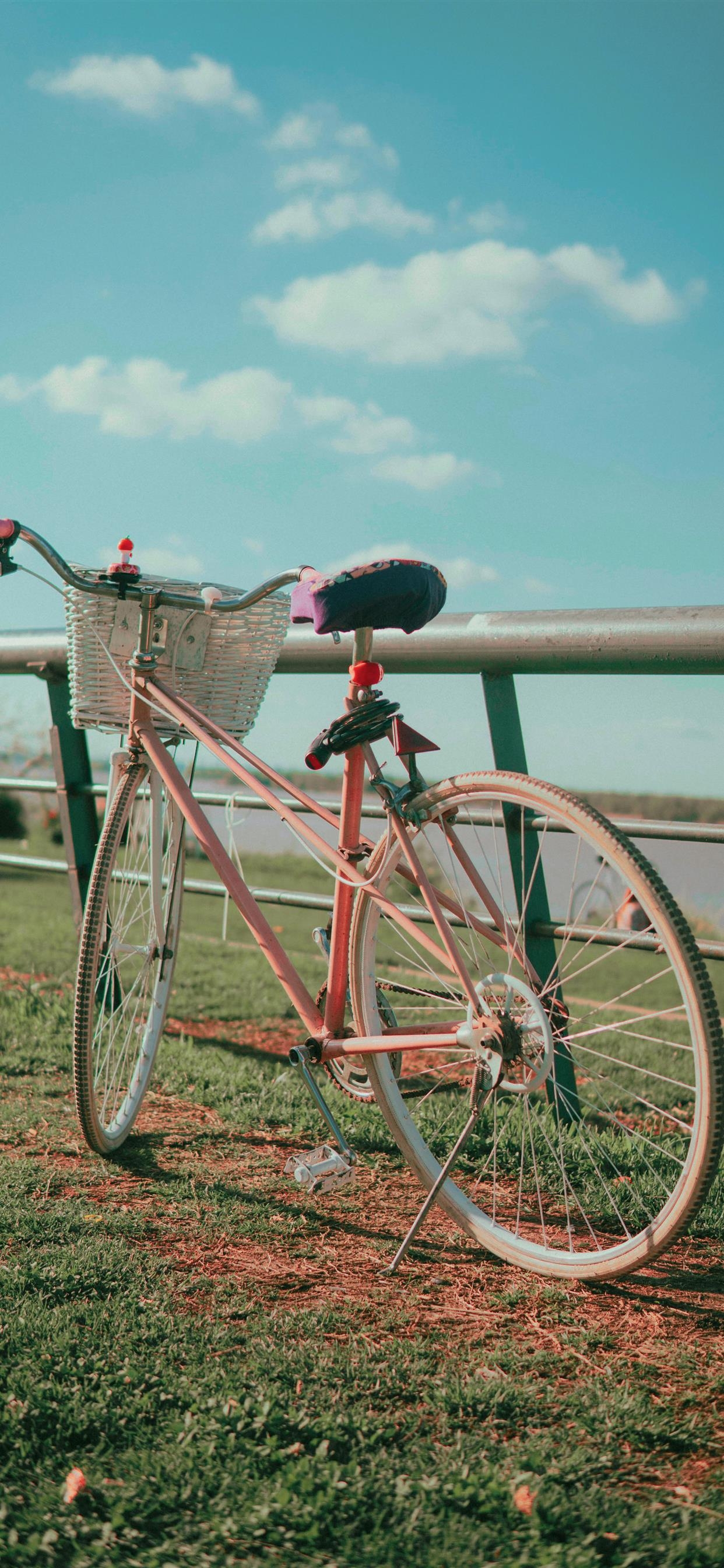 1250x2690 Pastel pink bike by the coast walk iPhone X Wallpaper Free Download, Phone