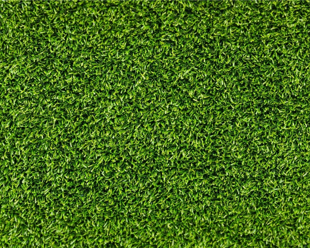 1280x1030 Grass Texture Wallpaper, Desktop