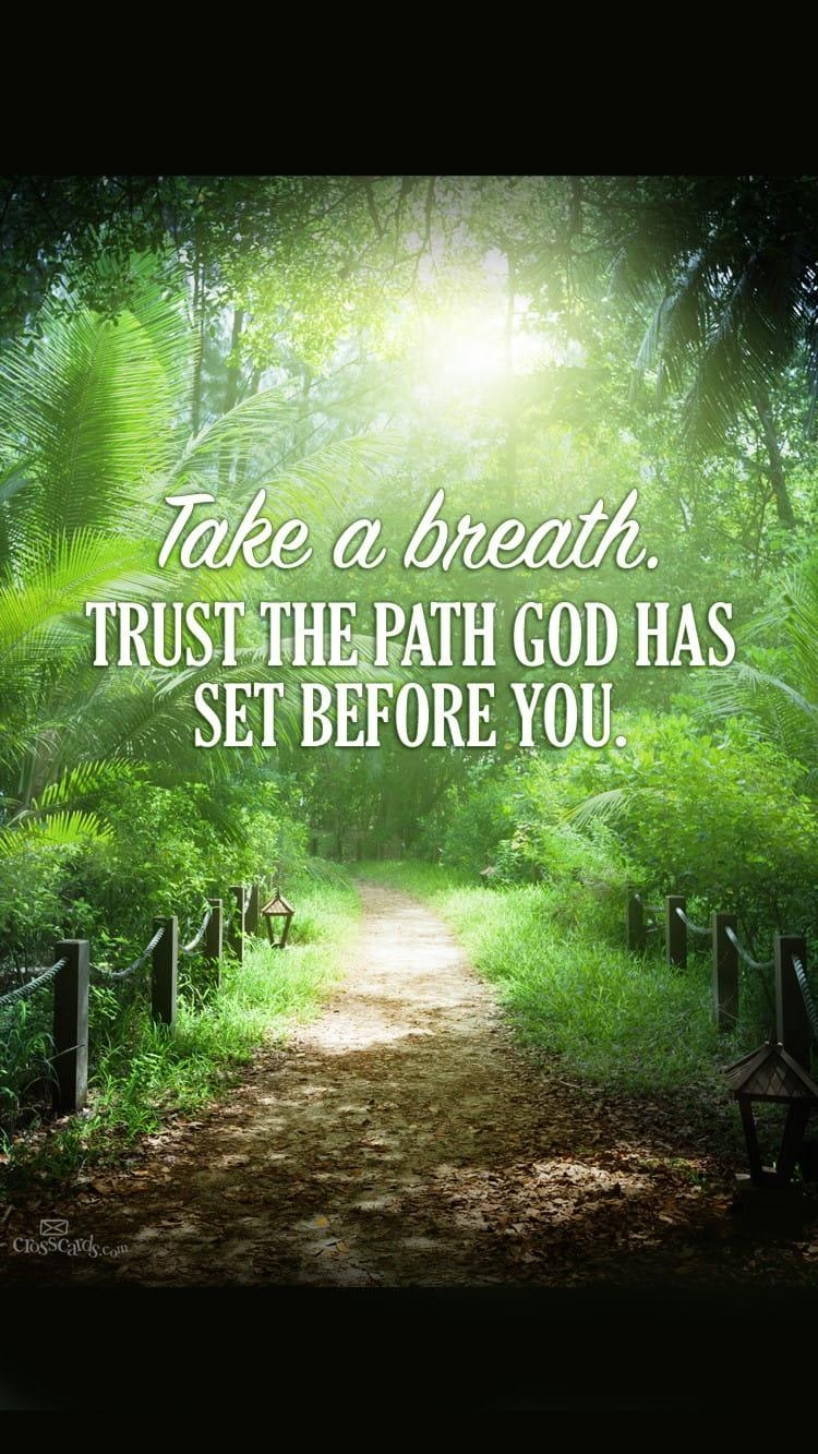 750x1340 Trust God's Path Desktop Wallpaper, Phone