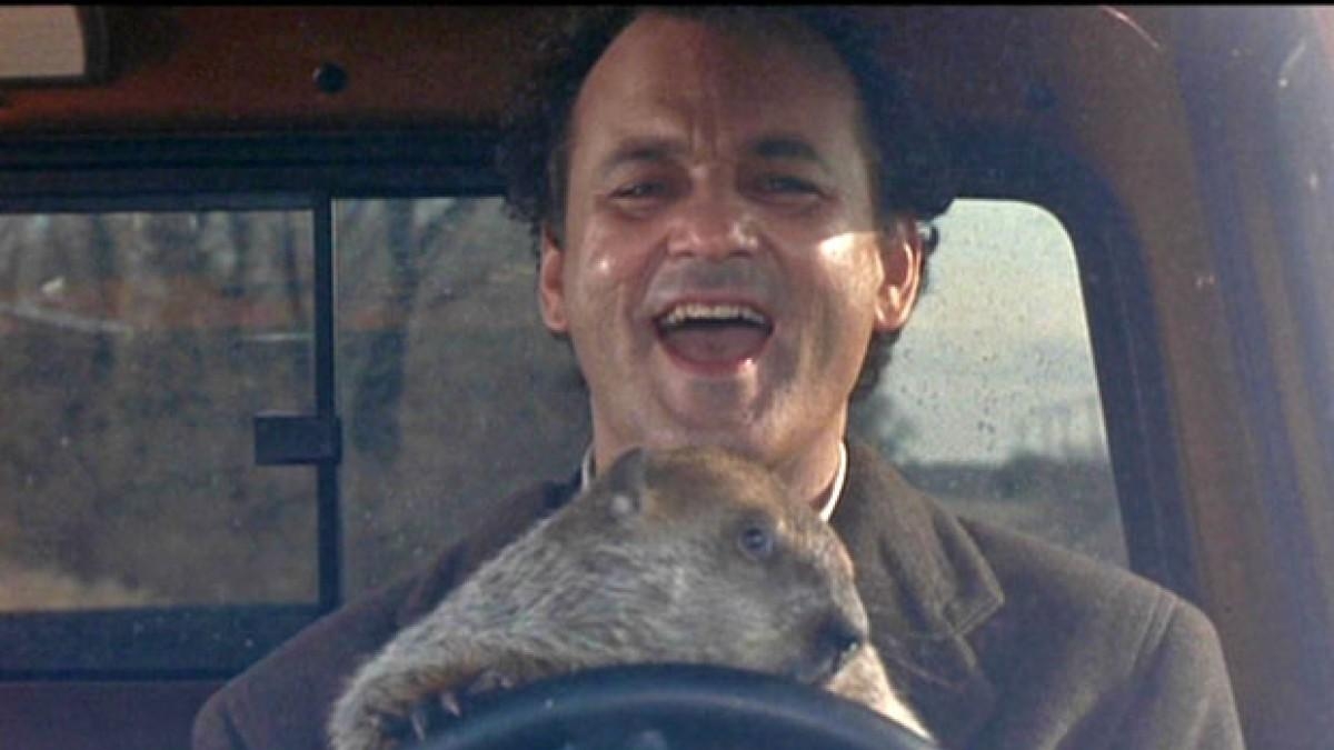 1200x680 Bill Murray Reenacts 'Groundhog Day' By Going To See 'Groundhog Day, Desktop