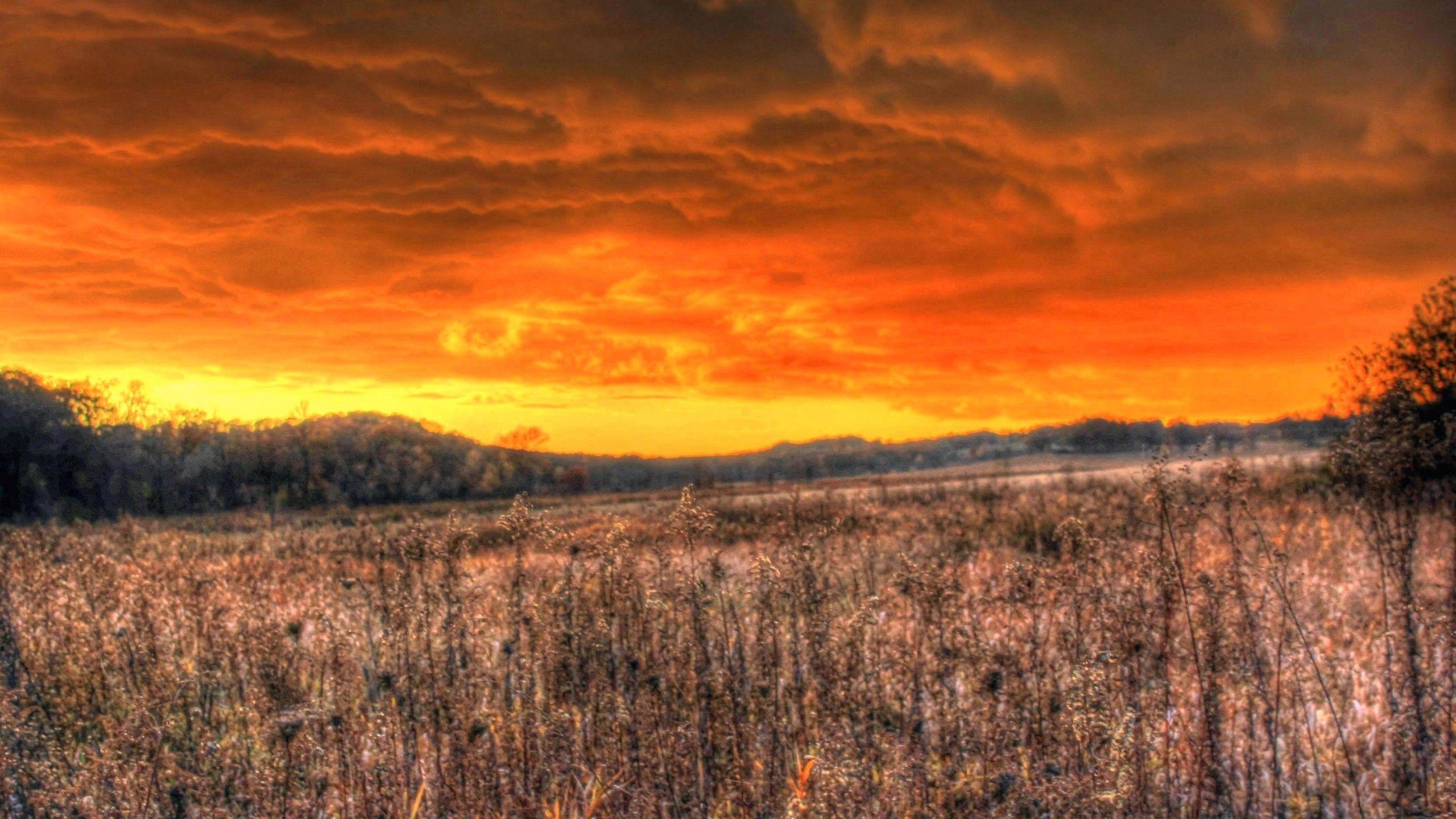 2560x1440 Wisconsin Landscape Wallpaper 93798, Desktop