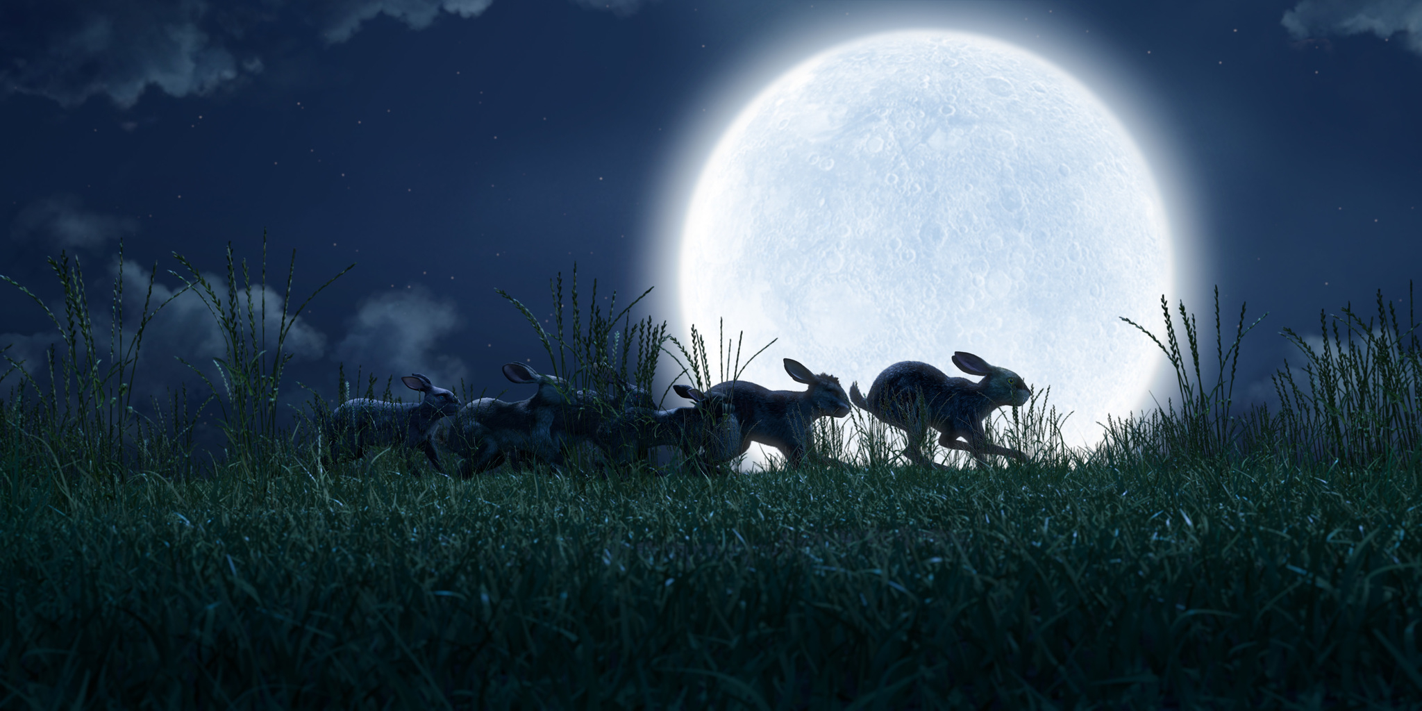 2050x1030 Watership Down The Siege (TV Episode 2018), Desktop