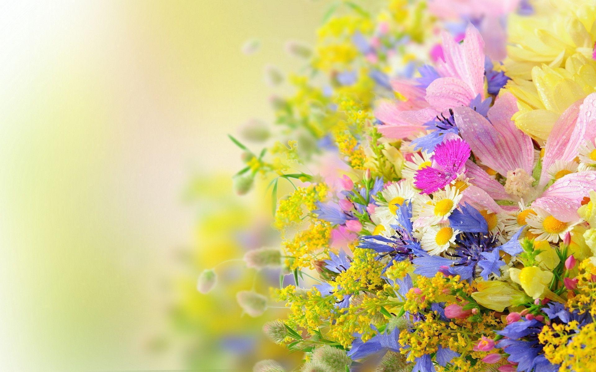 1920x1200 Many summer flowers Wallpaper, Desktop