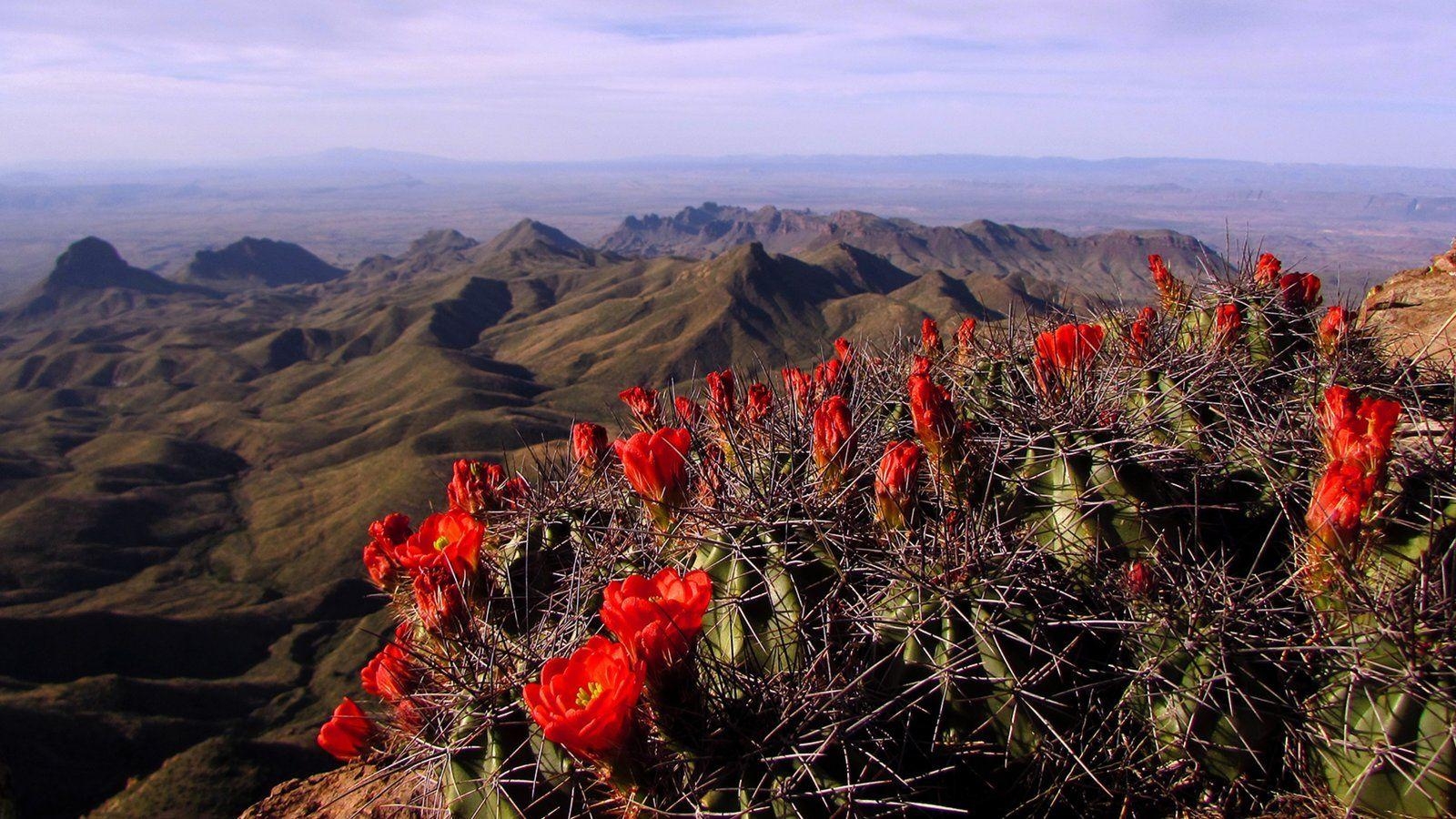 1600x900 Big Bend National Park Picture: View Photo & Image of Big Bend, Desktop