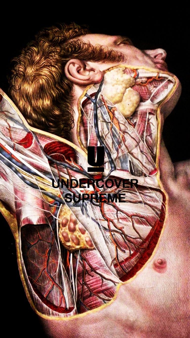 750x1340 Supreme X UC anatomy wallpaper, Phone