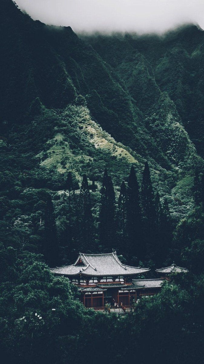 680x1200 Japanese Forest iPhone Wallpaper, Phone