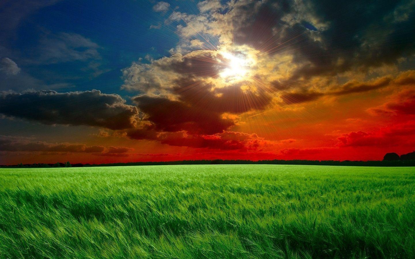 1440x900 Red sunset fields Wallpaper, Desktop