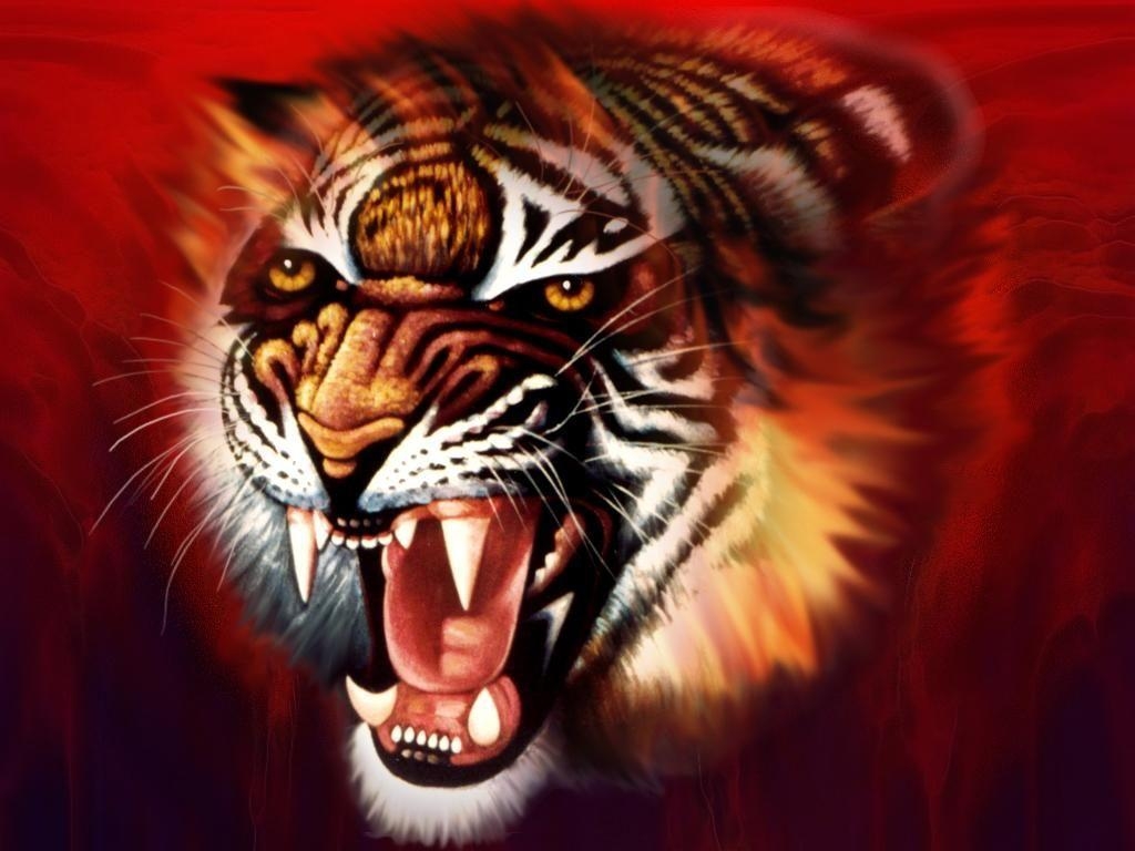 1030x770 Tiger 3D HD Desktop Wallpaper 6516 Wallpaperz. rk, Desktop