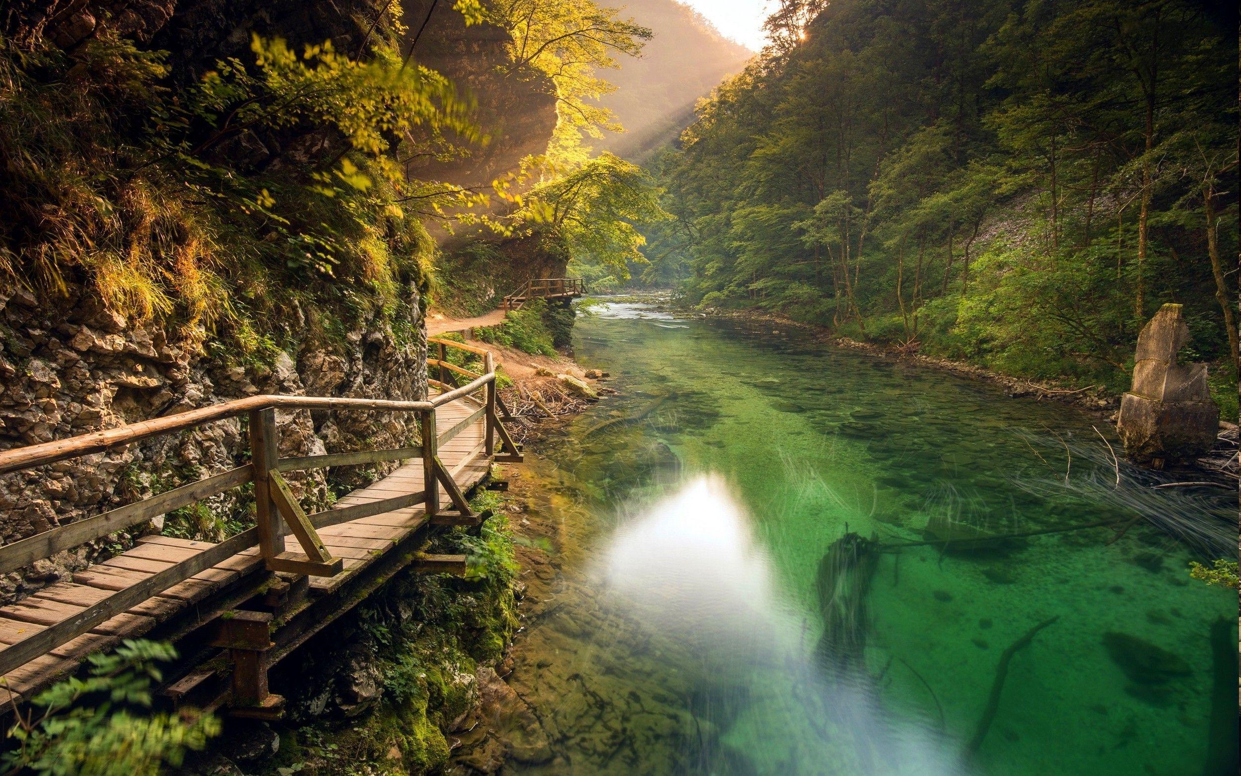 2500x1570 nature, Landscape, River, Walkway, Mountain, Path, Forest, Shrubs, Desktop