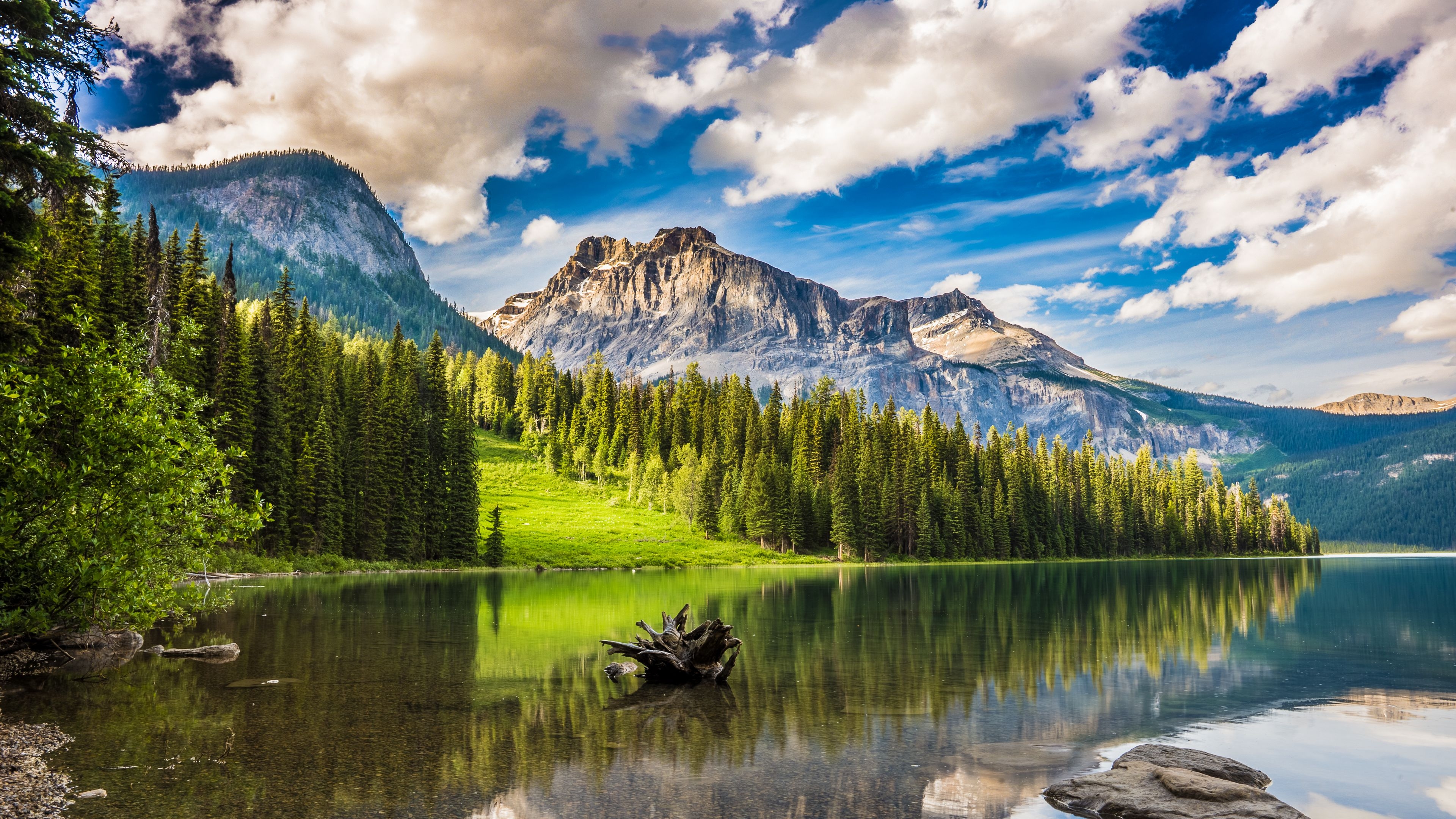 3840x2160 Download wallpaper  mountains, forest, lake, snag 4k uhd 16:9 HD background, Desktop