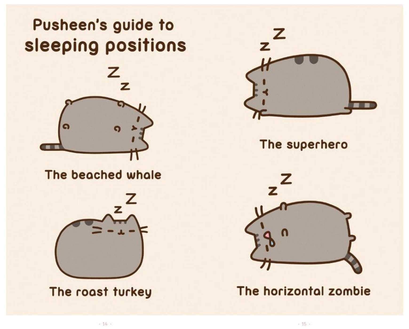 1740x1400 best image about Pusheen the cat!!. Cats, Pizza, Desktop