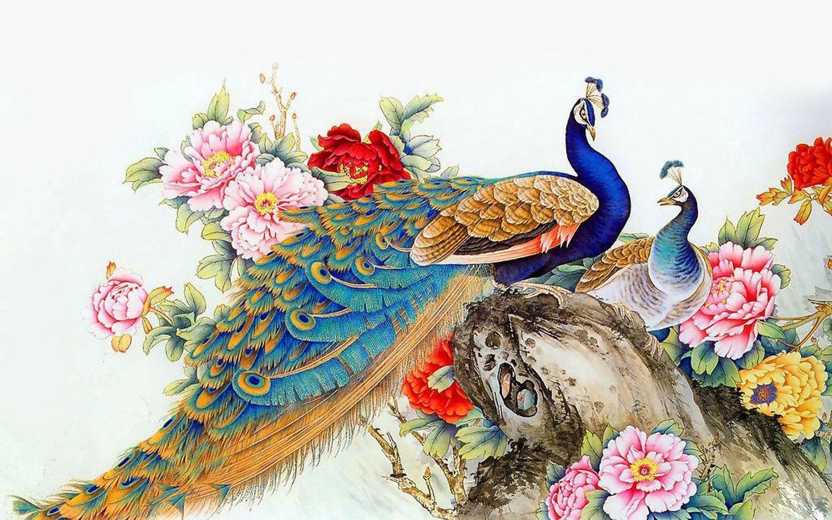 1680x1050 Peacock Wallpaper Free Download, Desktop