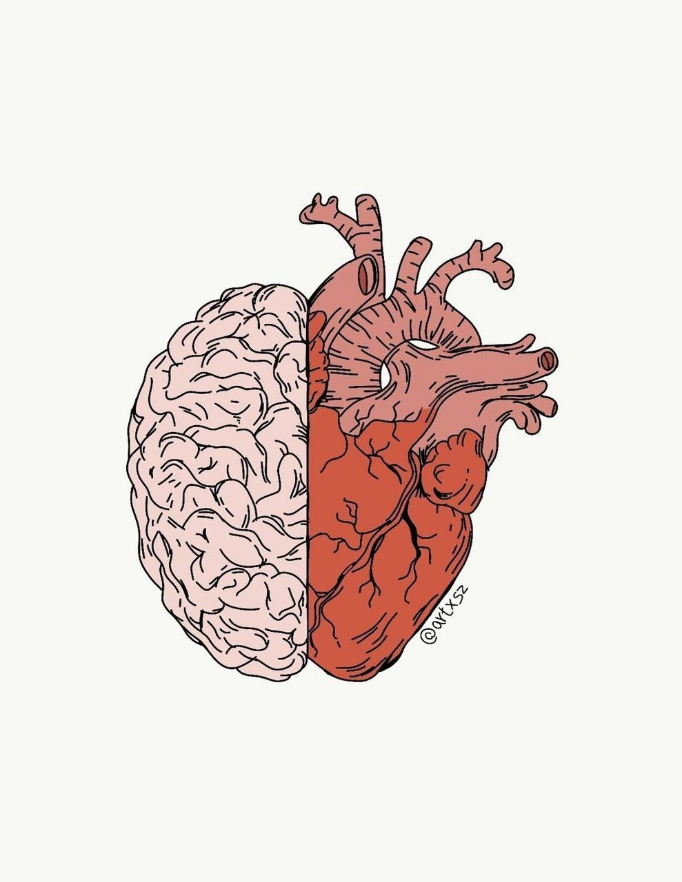 990x1280 Brain and Heart Wallpaper Free Brain and Heart Background, Phone