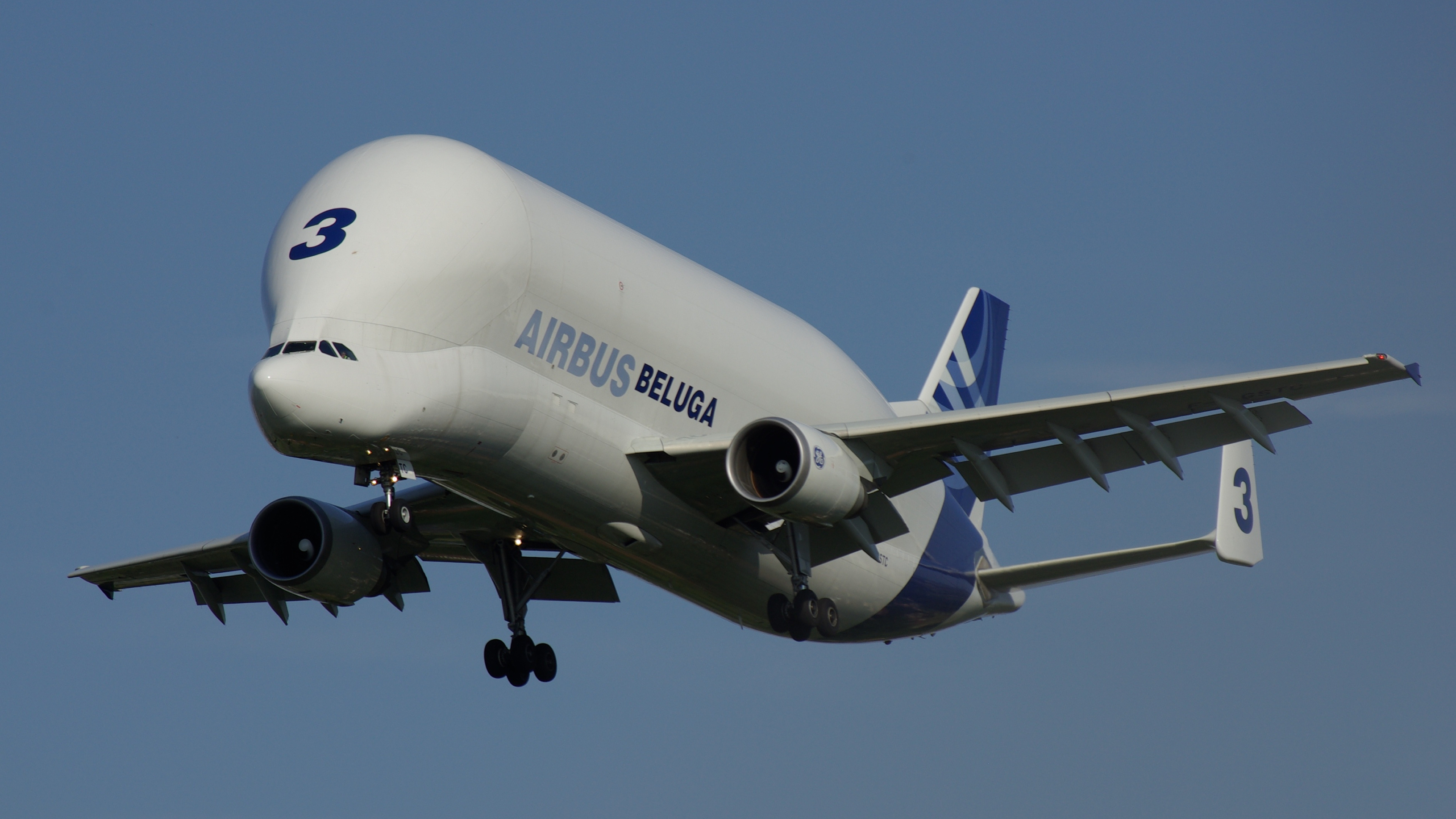 3840x2160 Airbus Beluga wallpaper, Desktop