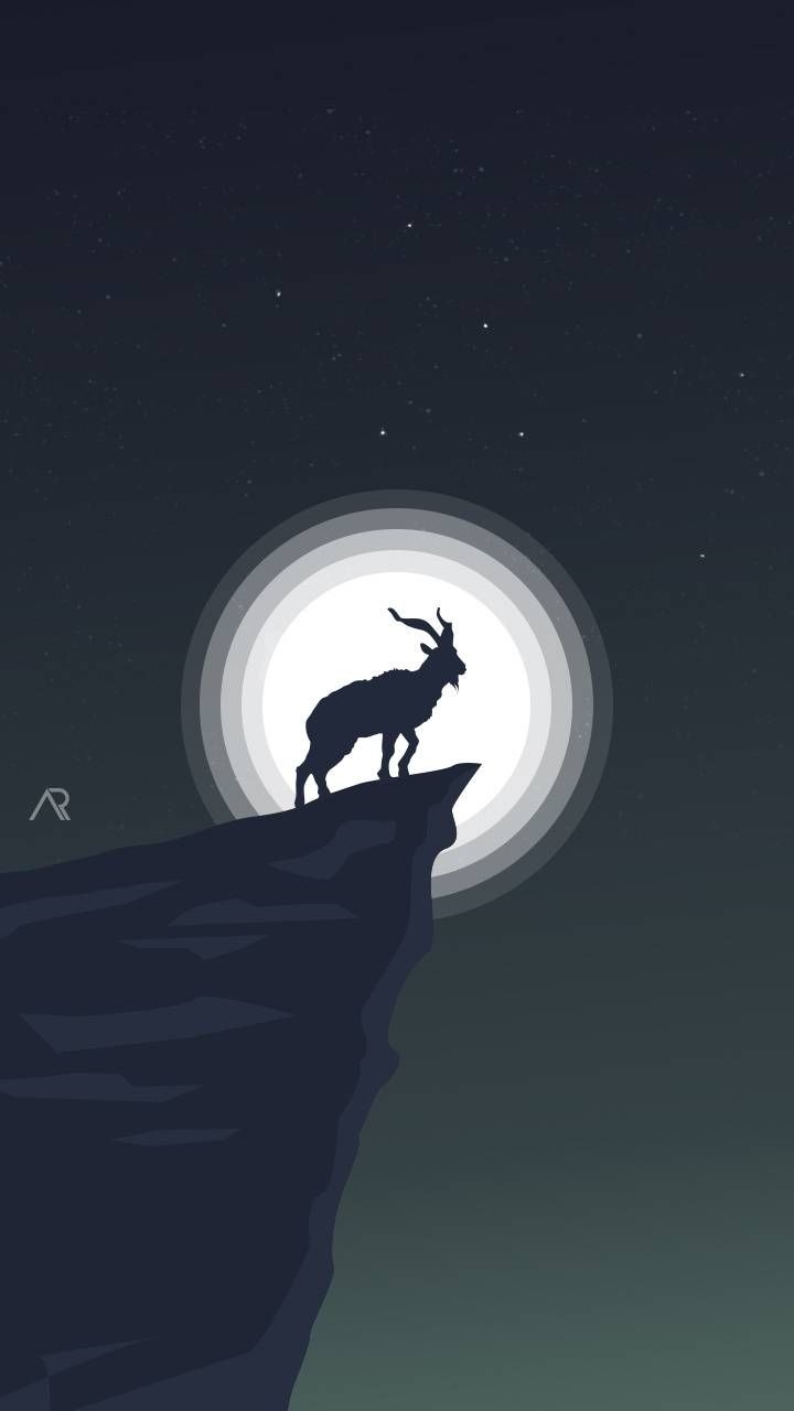 720x1280 Markhor wallpaper by Adeelkhan2977.zedge.net, Phone