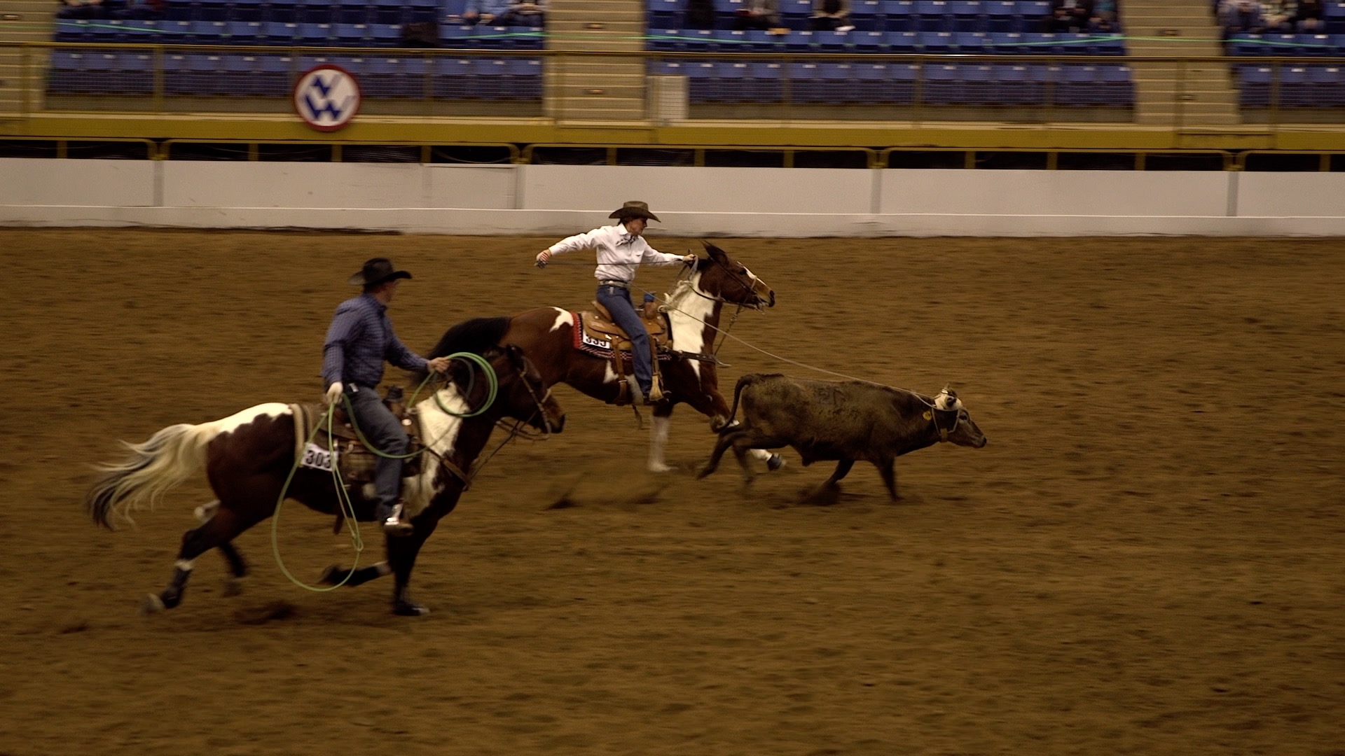 1920x1080 Air Force veteran grounded by roping at National Western Stock Show, Desktop