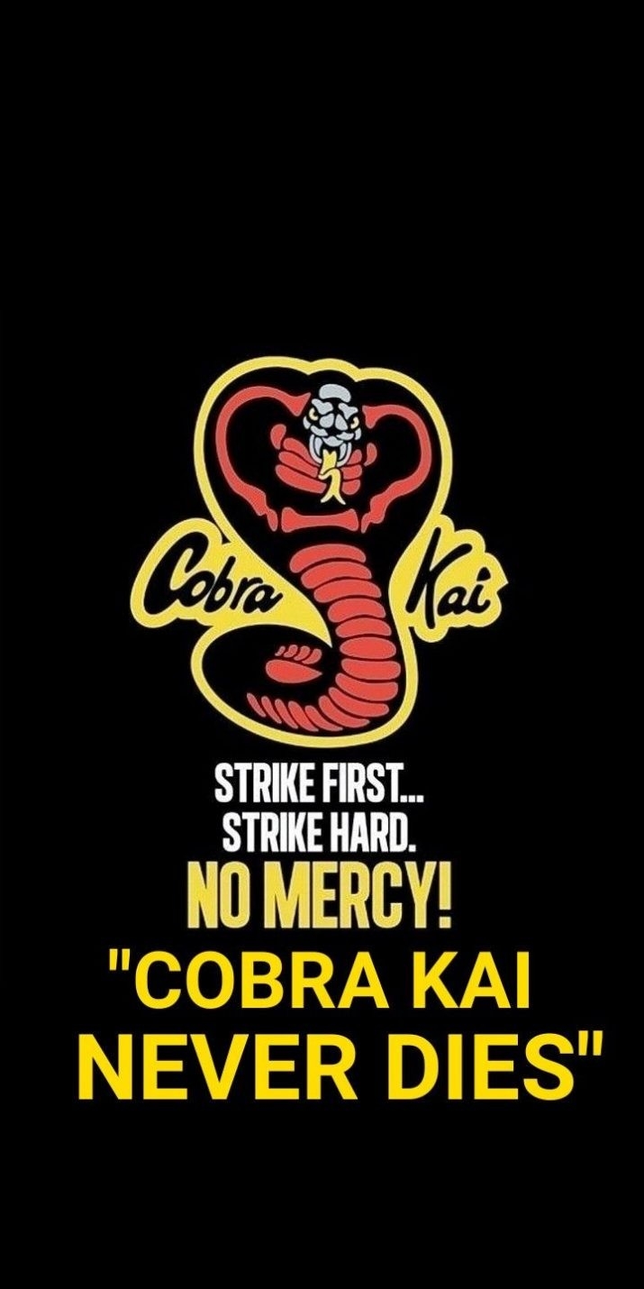 720x1430 Cobra Kai Wallpaper, Phone