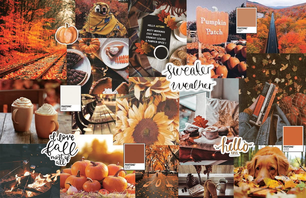 1230x800 Fall Background. Cute fall wallpaper, Fall wallpaper, Cute desktop wallpaper, Desktop