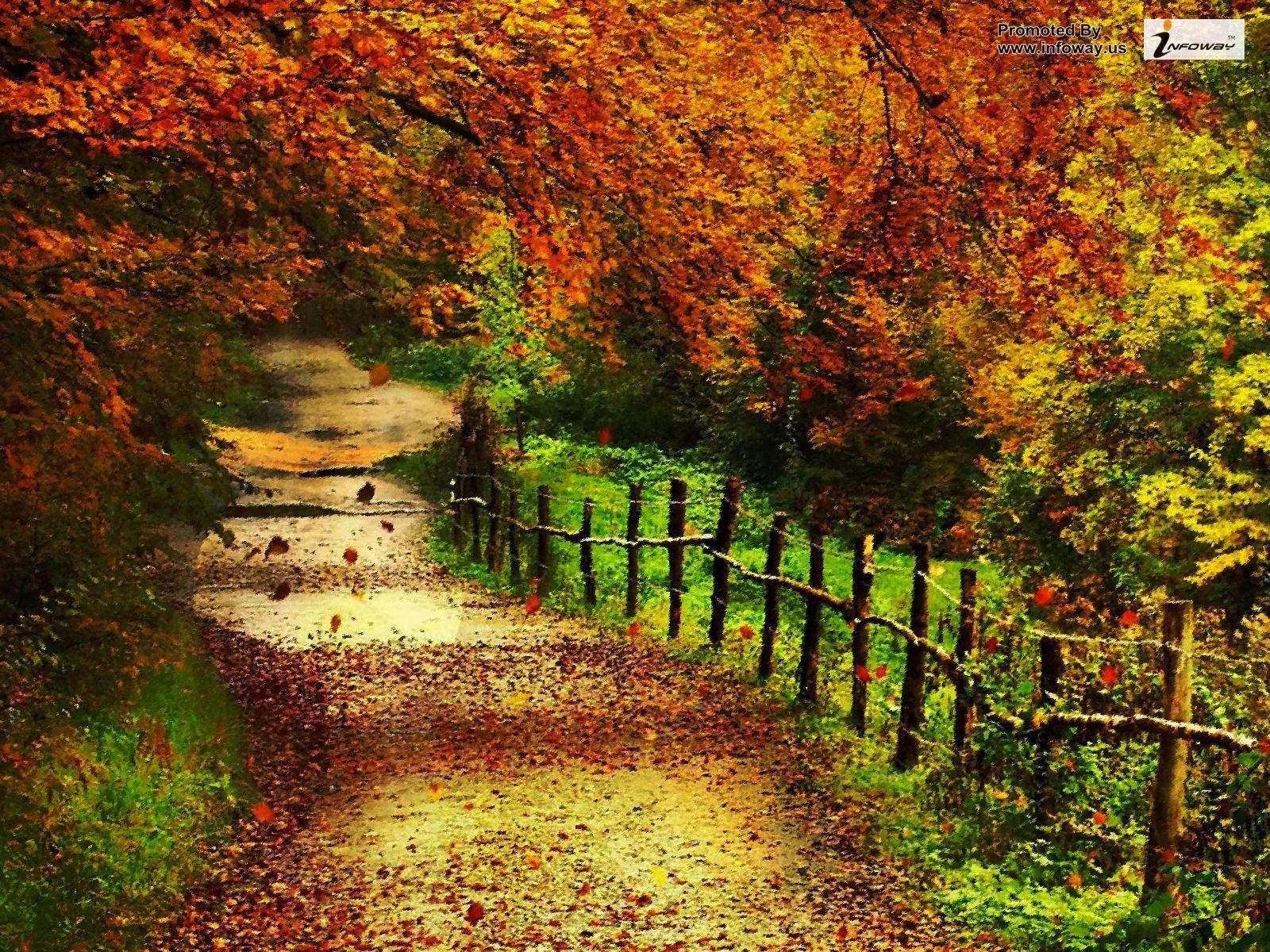 1600x1200 Free download Beautiful Autumn Scenery Wallpaper 01, Desktop