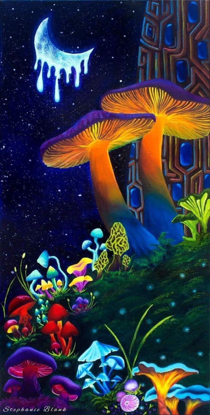 730x1440 Wallpaper HD: Magic, Mushrooms, Wallpaper, Wallpaper, Phone