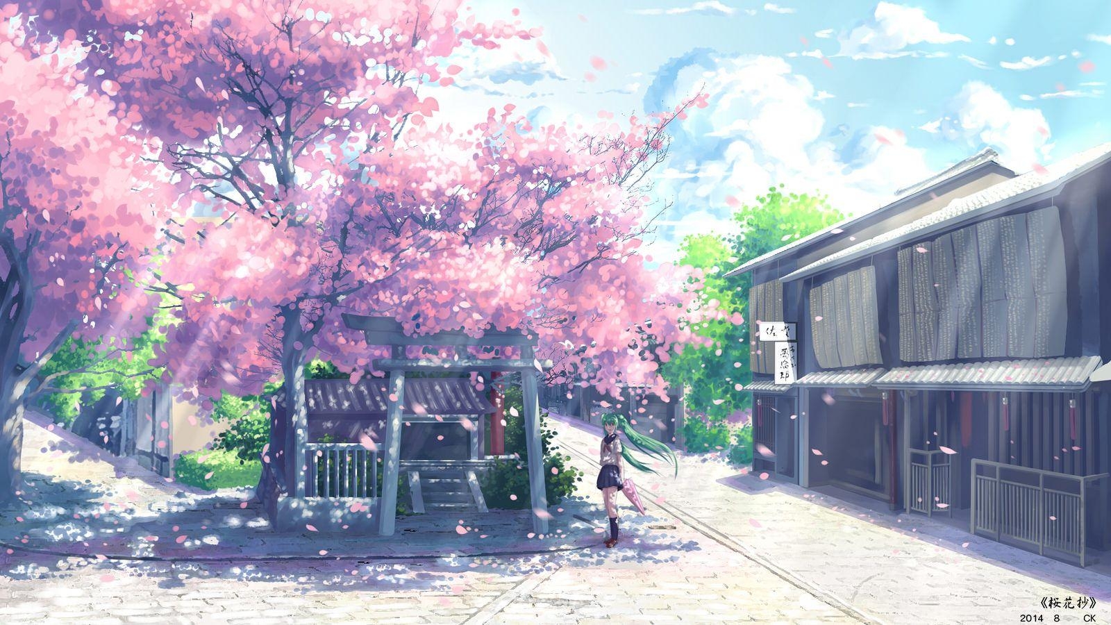 1600x900 Anime Scenery Cherry Blossoms Background Hd Image 1_28214060692_o, Desktop