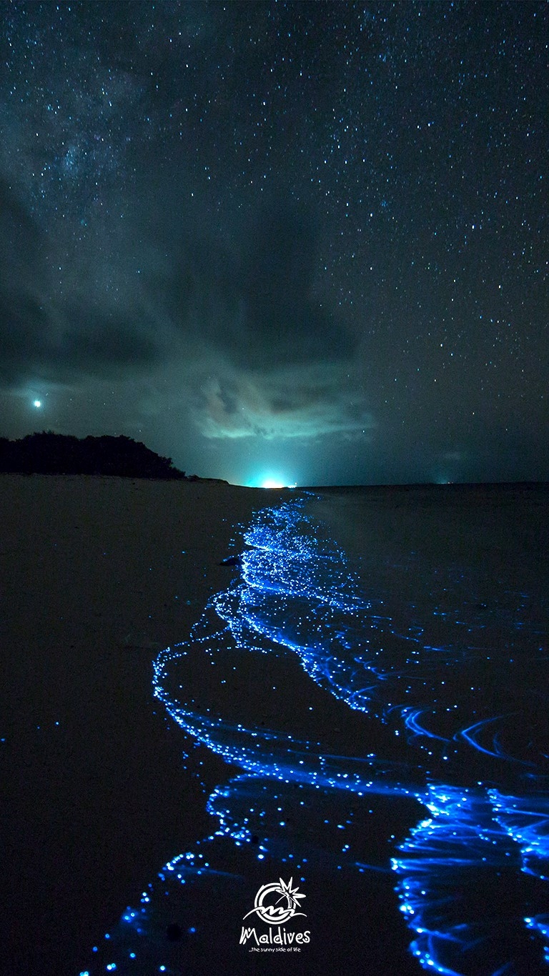 770x1370 Maldives Free Mobile Wallpaper of a Glowing beach, Phone